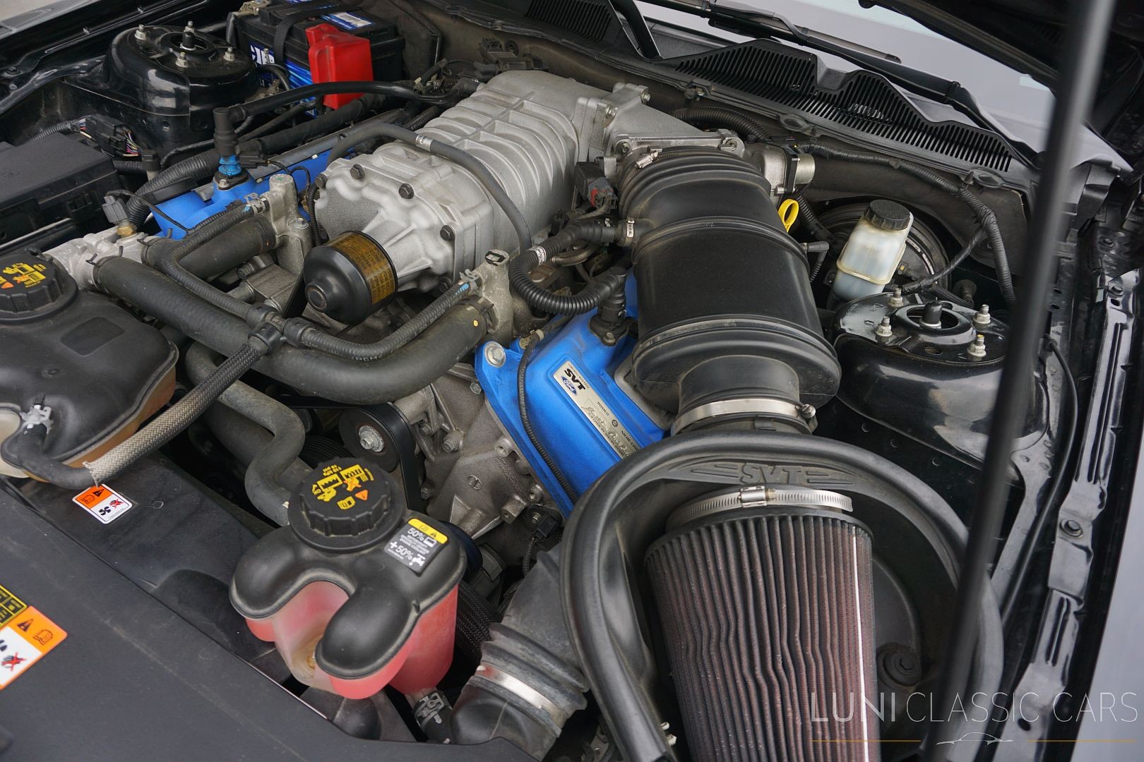 FORD Mustang Shelby GT500-image-22