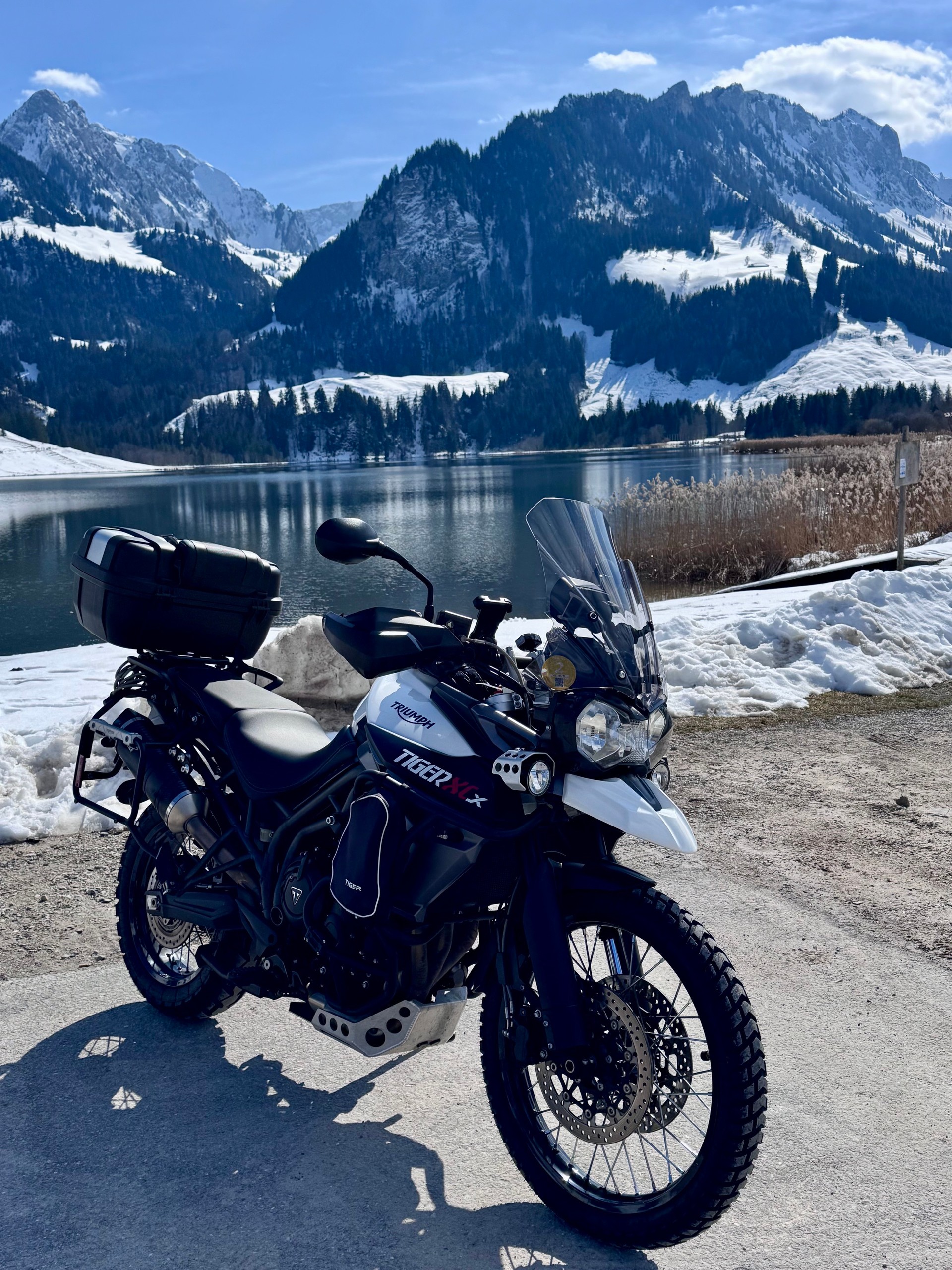 TRIUMPH Tiger 800 XCx ABS-image-0