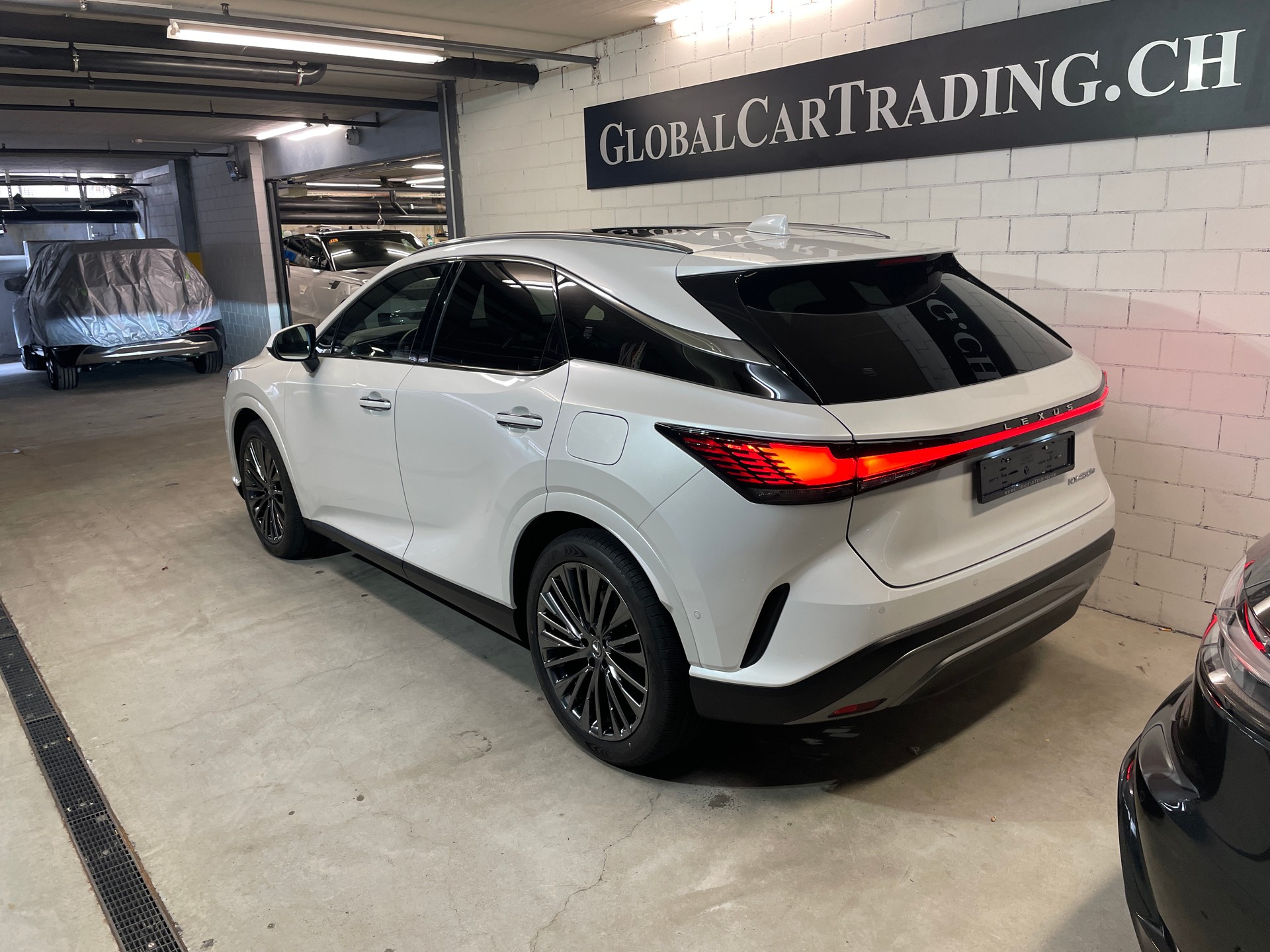 LEXUS RX 450h+ Excellence PHEV AWD CVT-showroom-element-3
