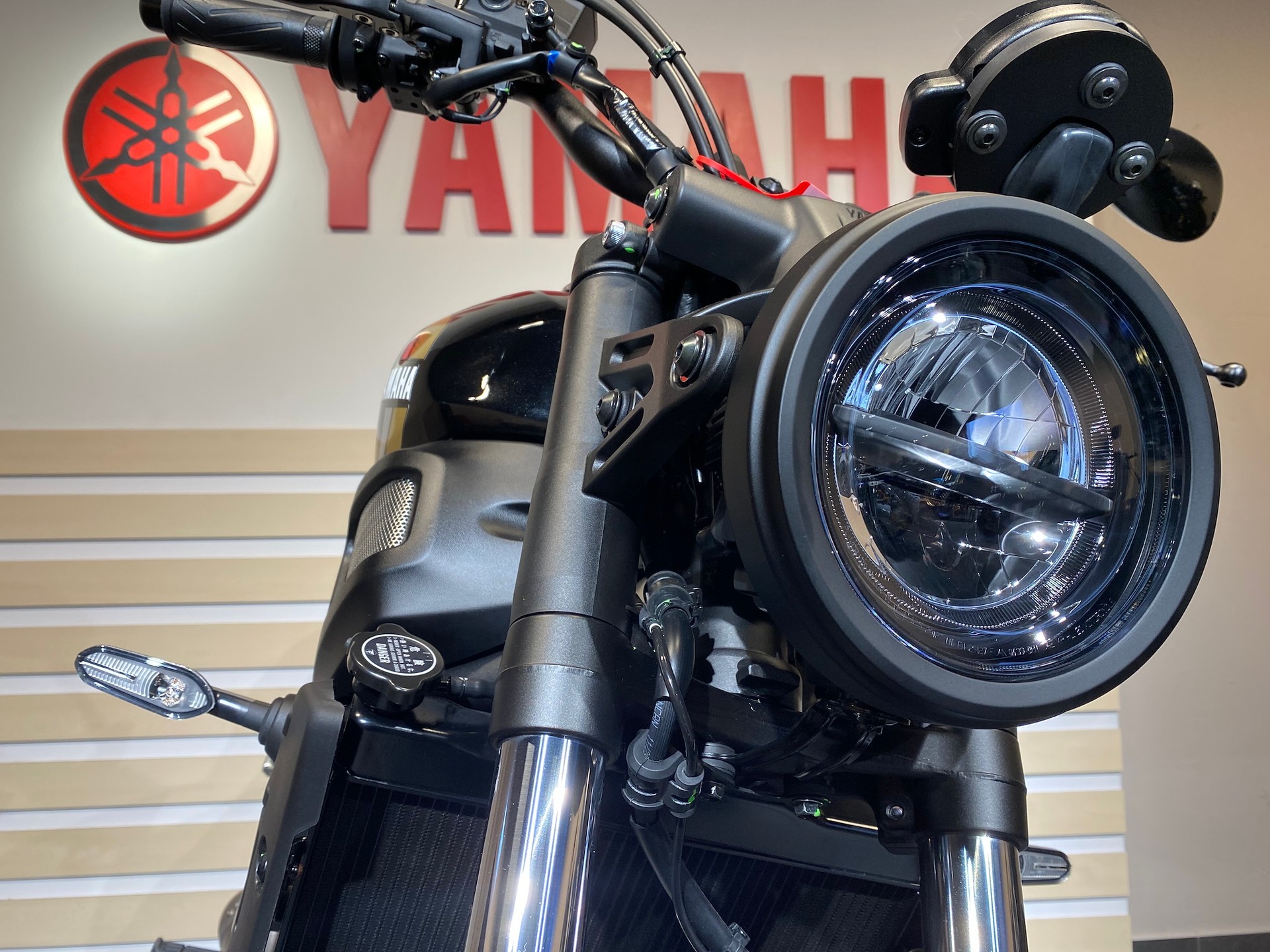 YAMAHA XSR 700-image-9