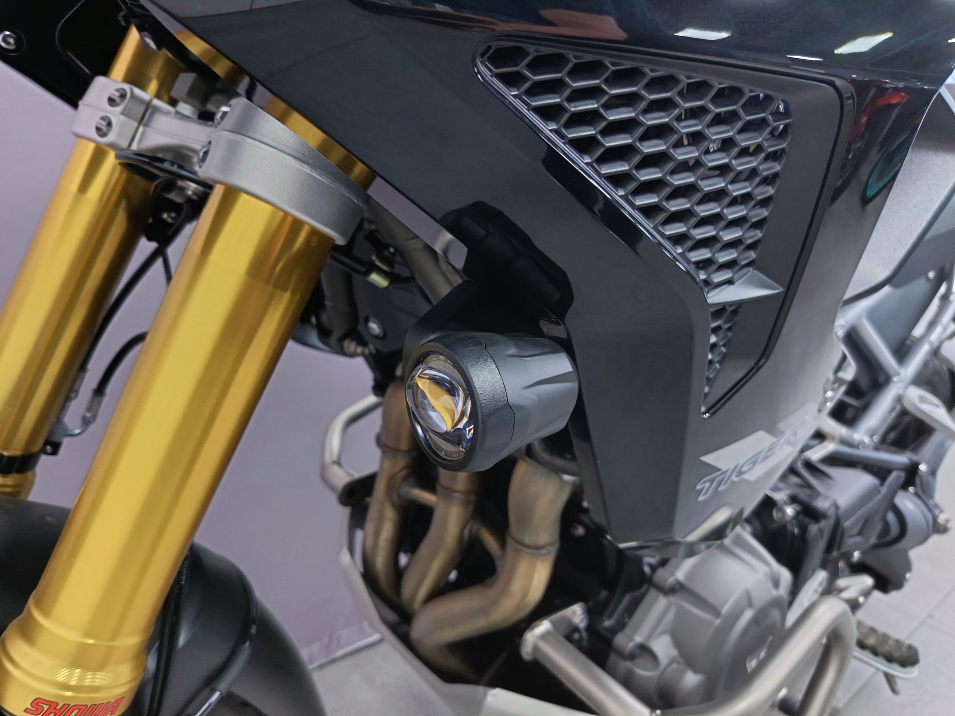 TRIUMPH Tiger 1200 Rally Pro-image-8