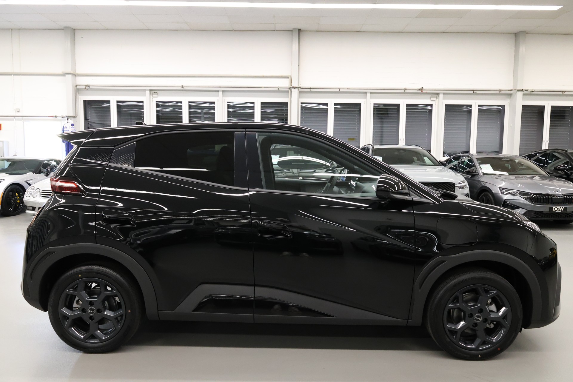 BYD Dolphin Surf Comfort-image-10