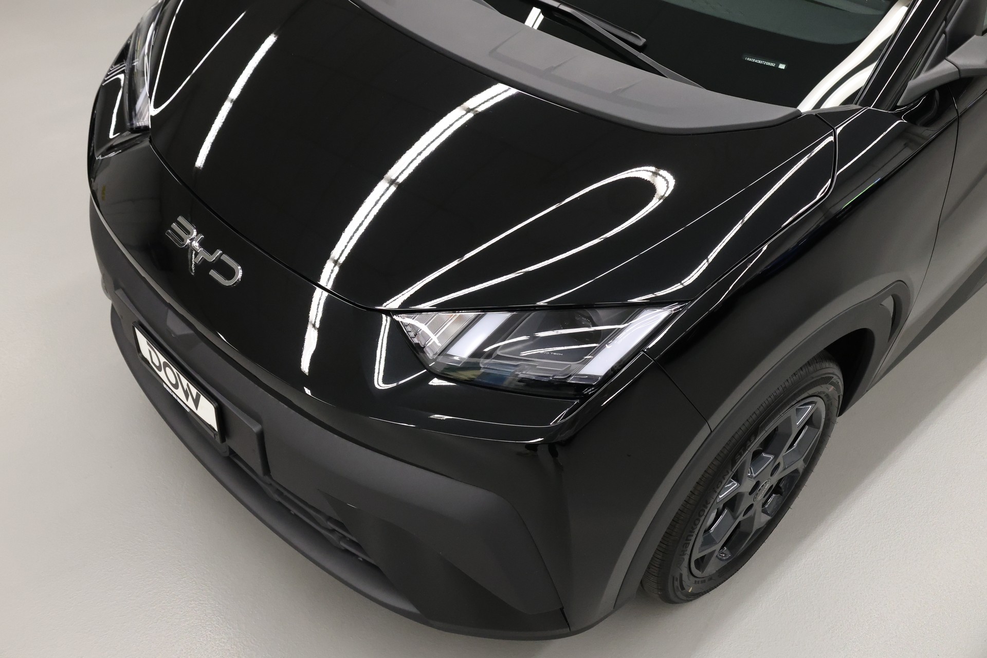 BYD Dolphin Surf Comfort-showroom-element-3