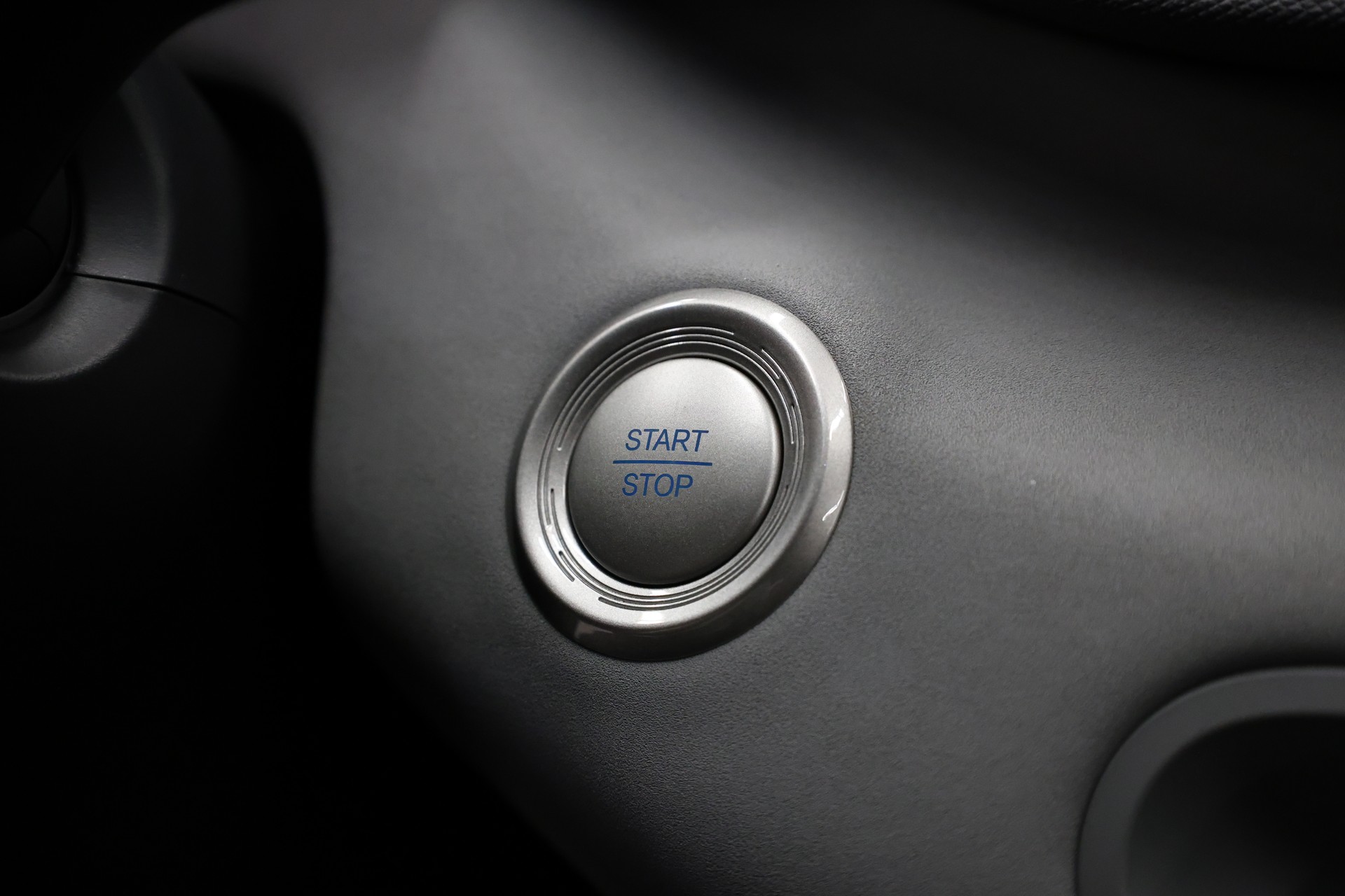 BYD Dolphin Surf Comfort-image-29