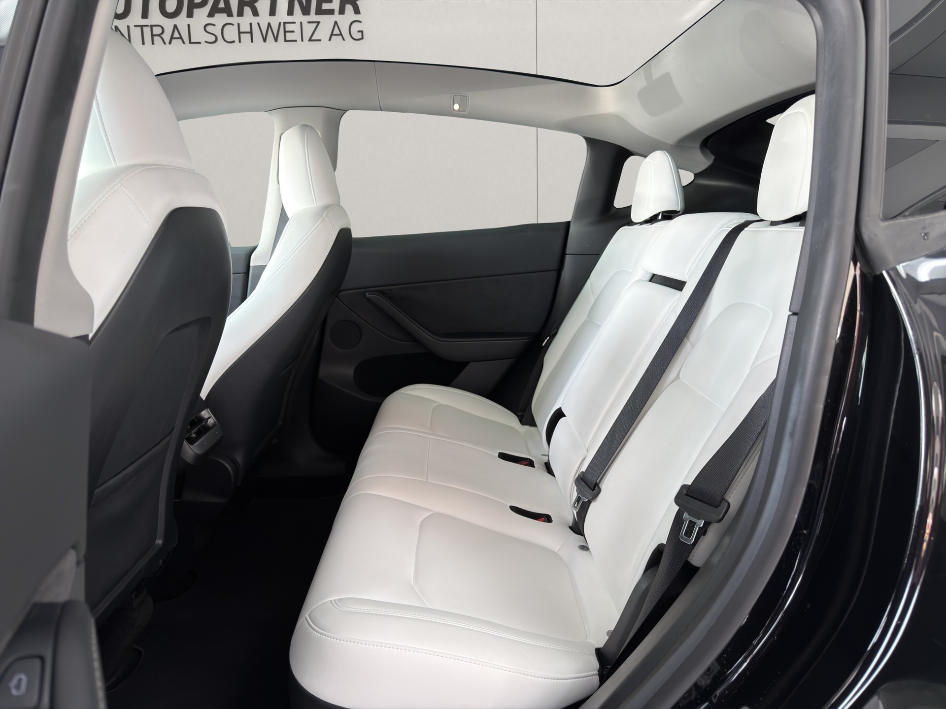 TESLA Model Y RWD-image-6