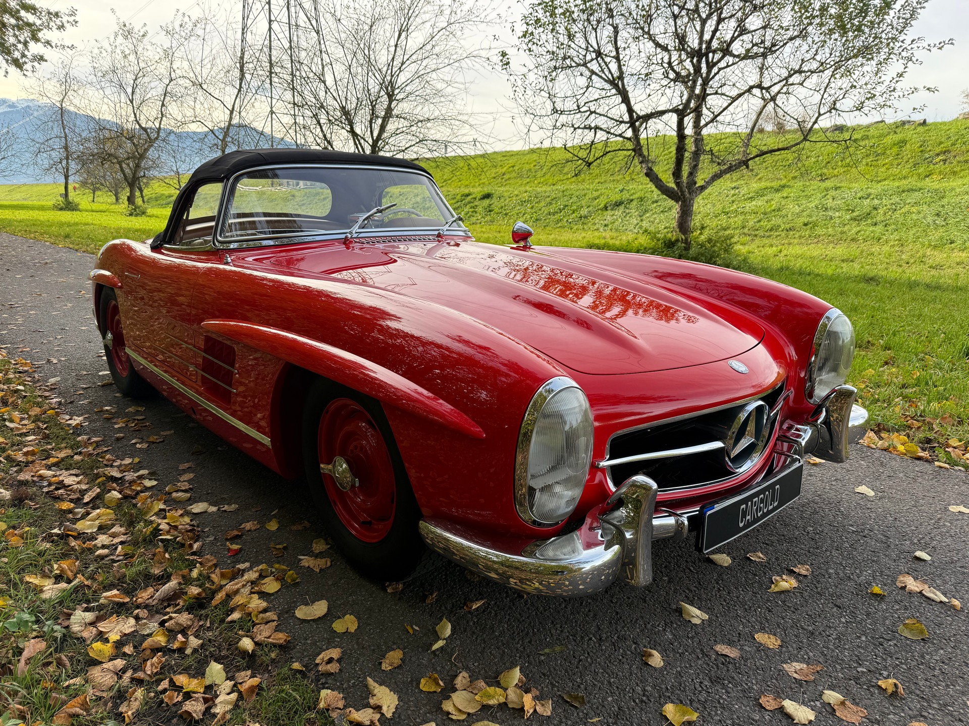 MERCEDES-BENZ 300 SL Roadster-image-10