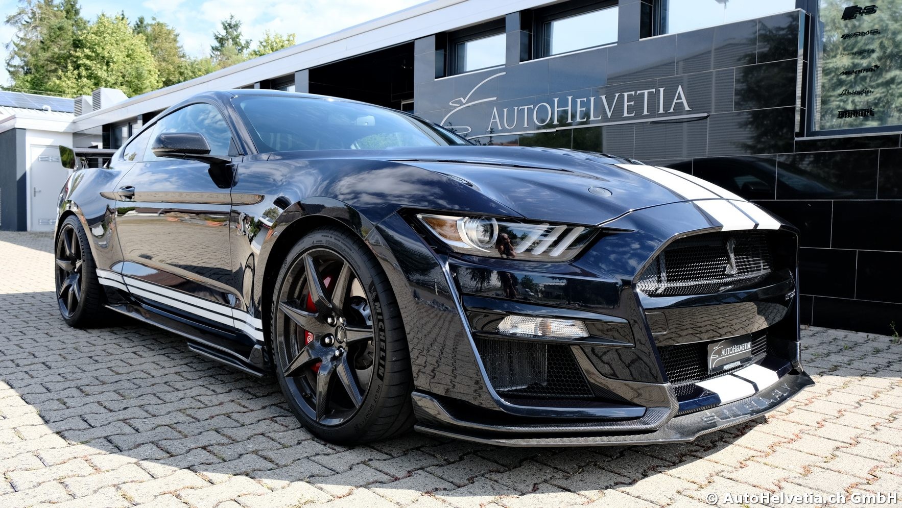 FORD Mustang Shelby GT 500 - Carbon Fiber Track Pack Predator GT500-showroom-element-1