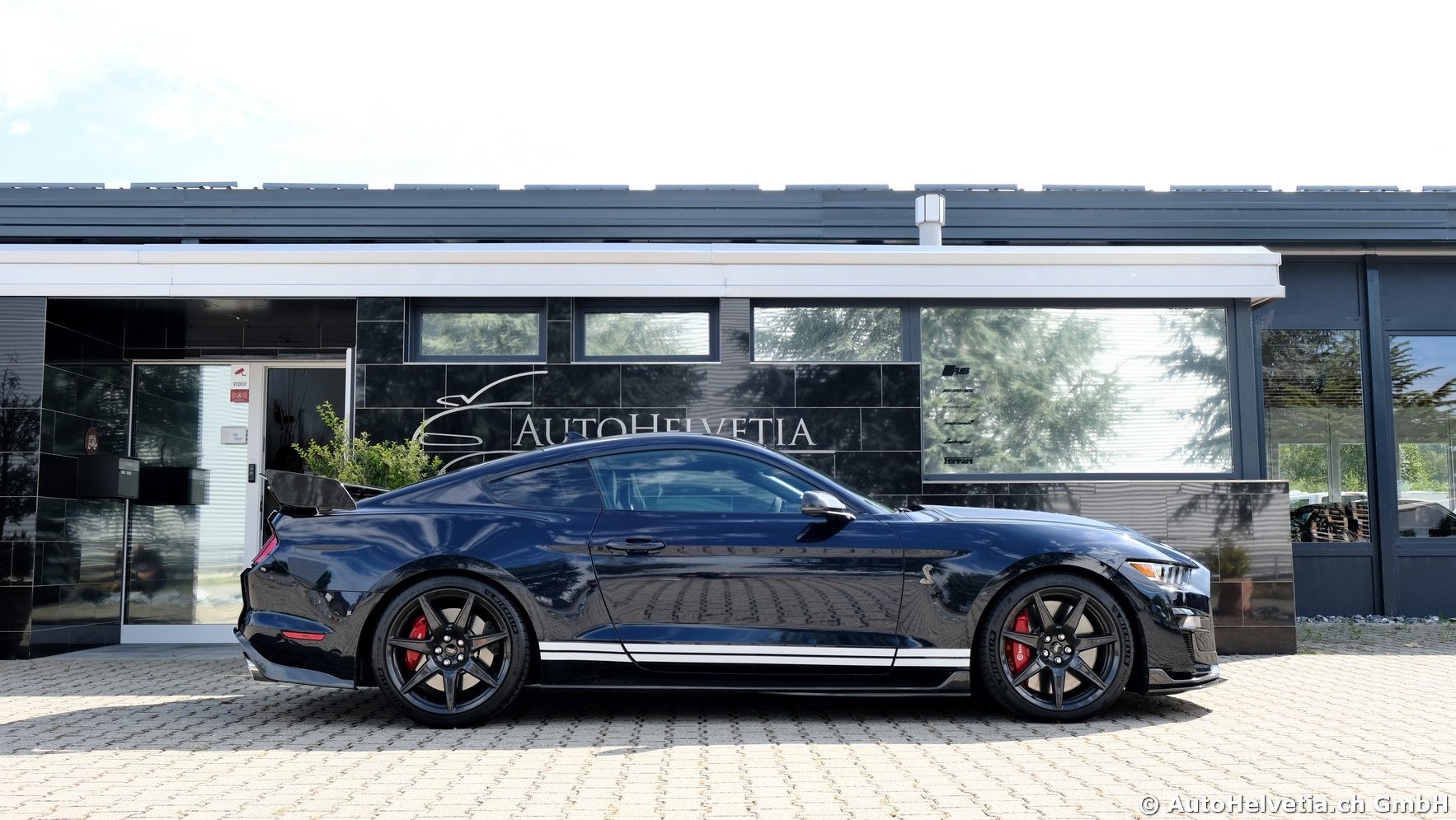 FORD Mustang Shelby GT 500 - Carbon Fiber Track Pack Predator GT500-showroom-element-3