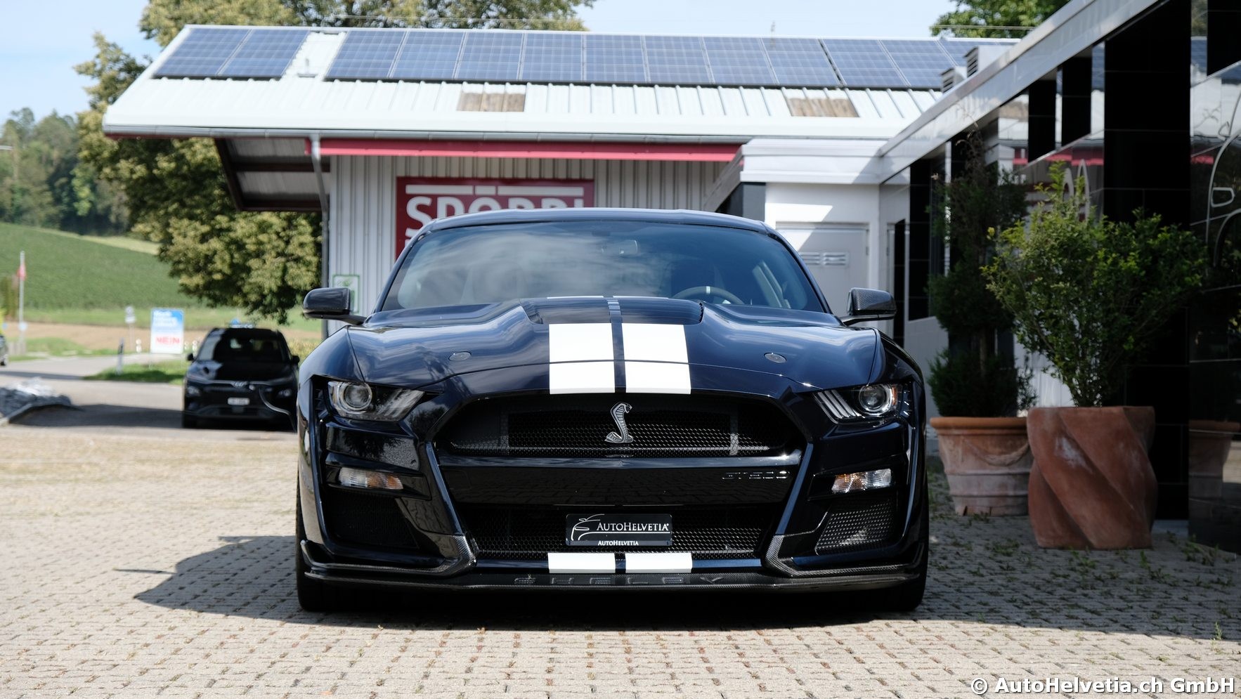 FORD Mustang Shelby GT 500 - Carbon Fiber Track Pack Predator GT500-showroom-element-2