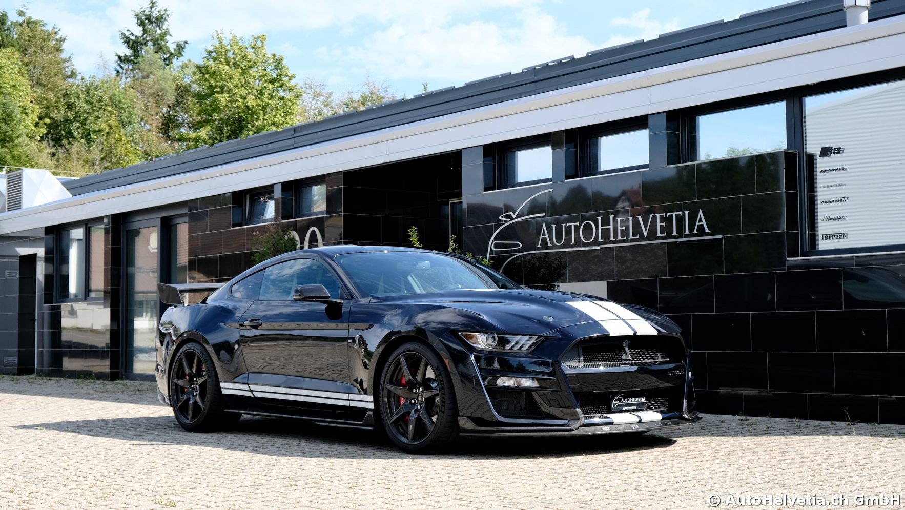 FORD Mustang Shelby GT 500 - Carbon Fiber Track Pack Predator GT500