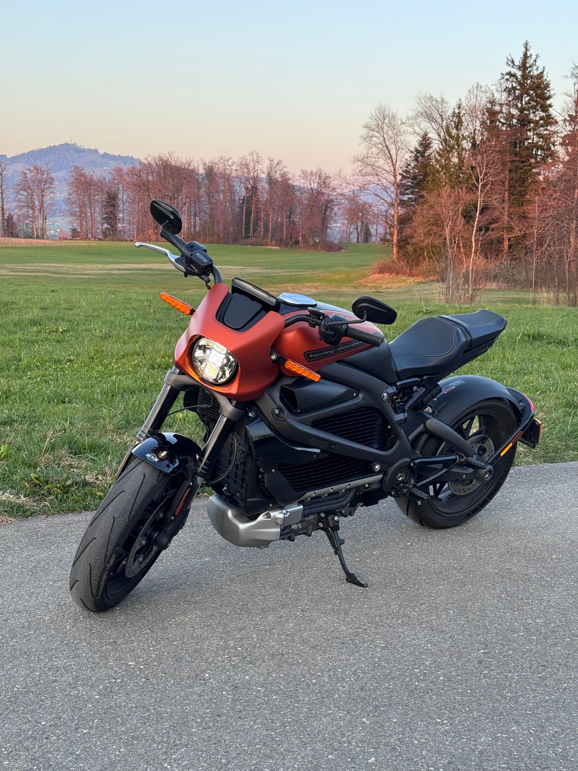HARLEY-DAVIDSON Live Wire-image-1