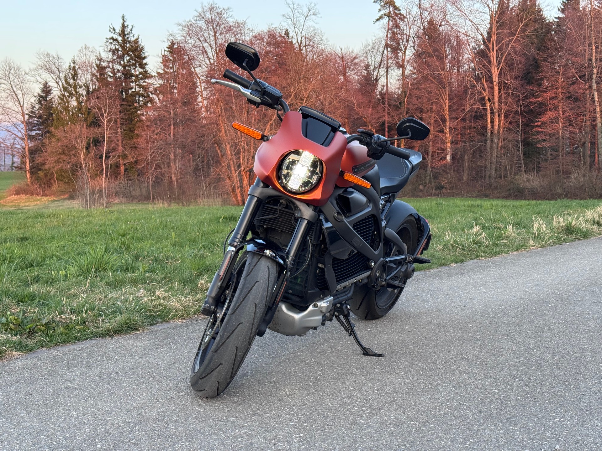 HARLEY-DAVIDSON Live Wire-image-0