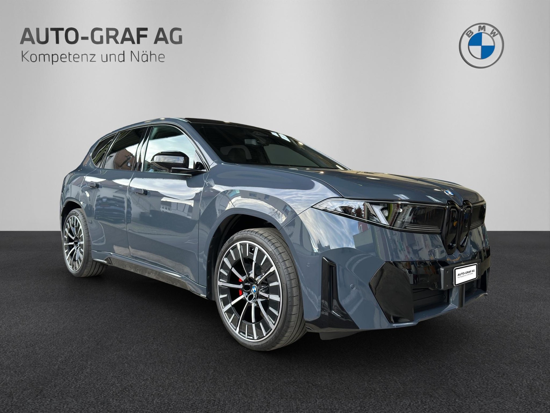 BMW iX3 50 xDrive M Sport Pro-image-6