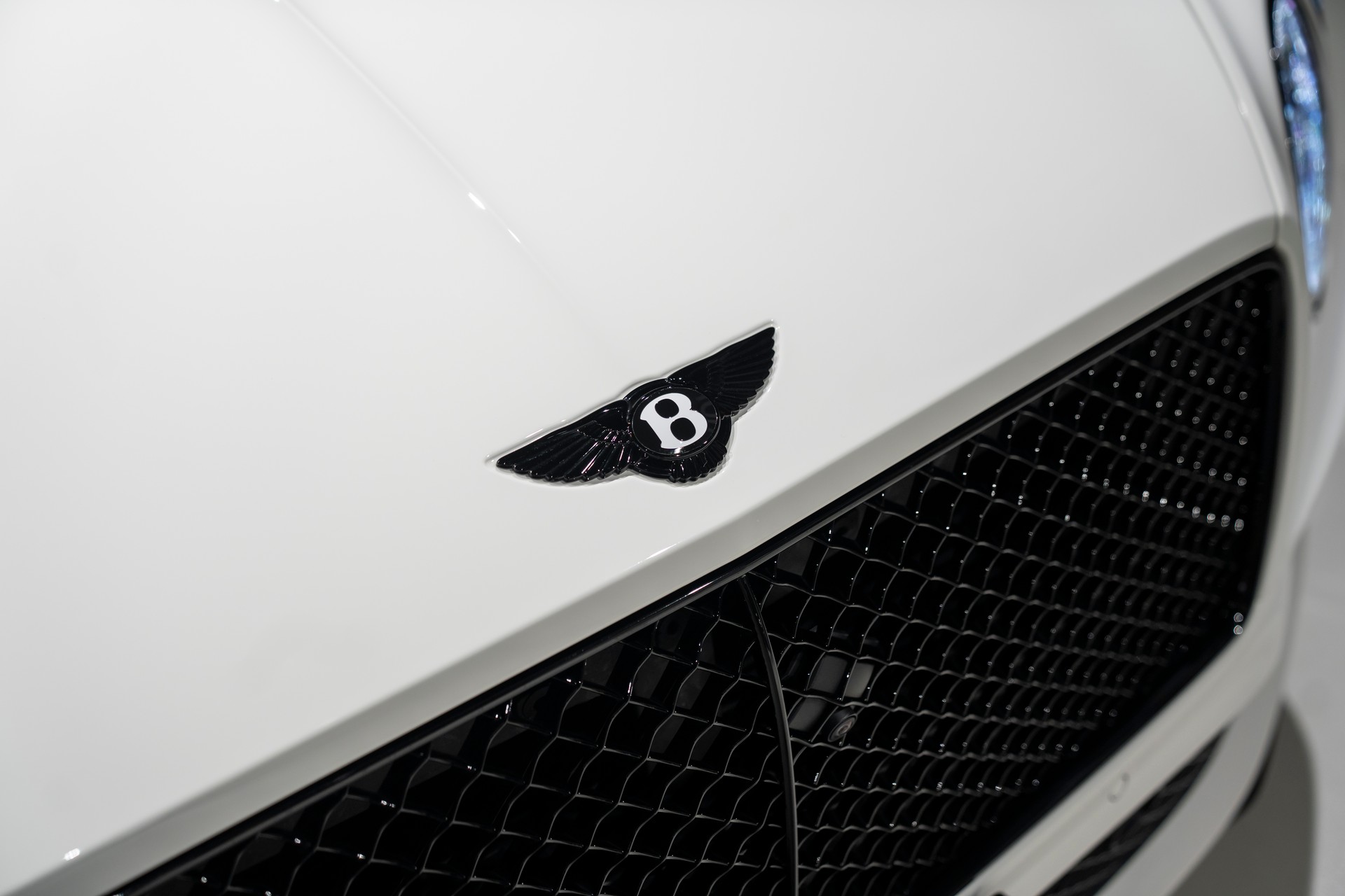 BENTLEY Continental GTC S 4.0 V8-image-7