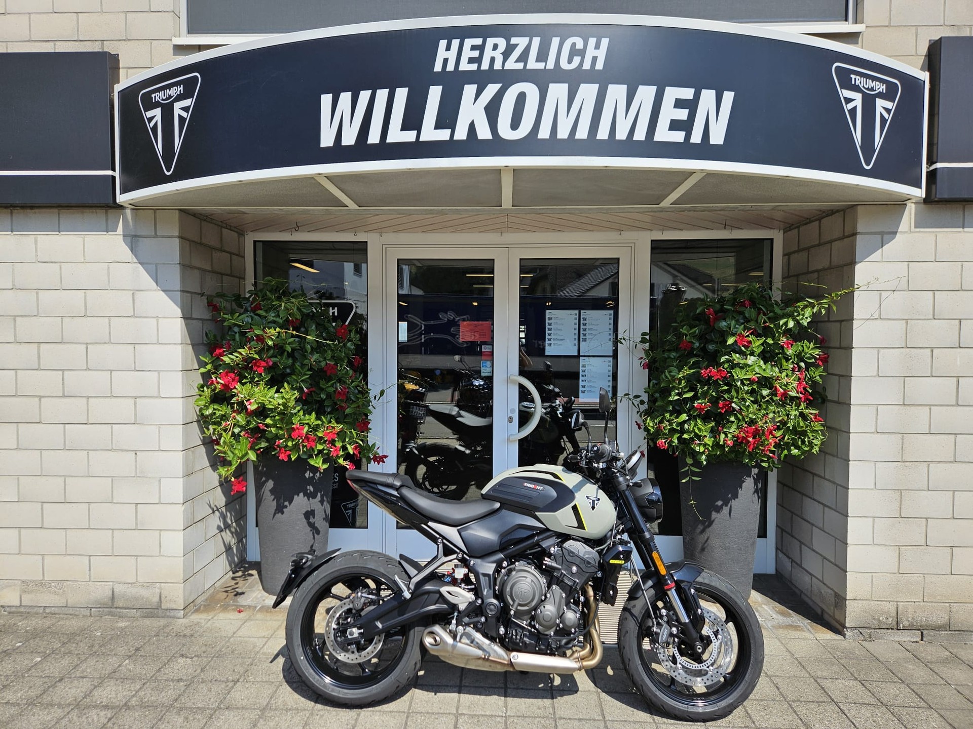 TRIUMPH Trident 660-image-0