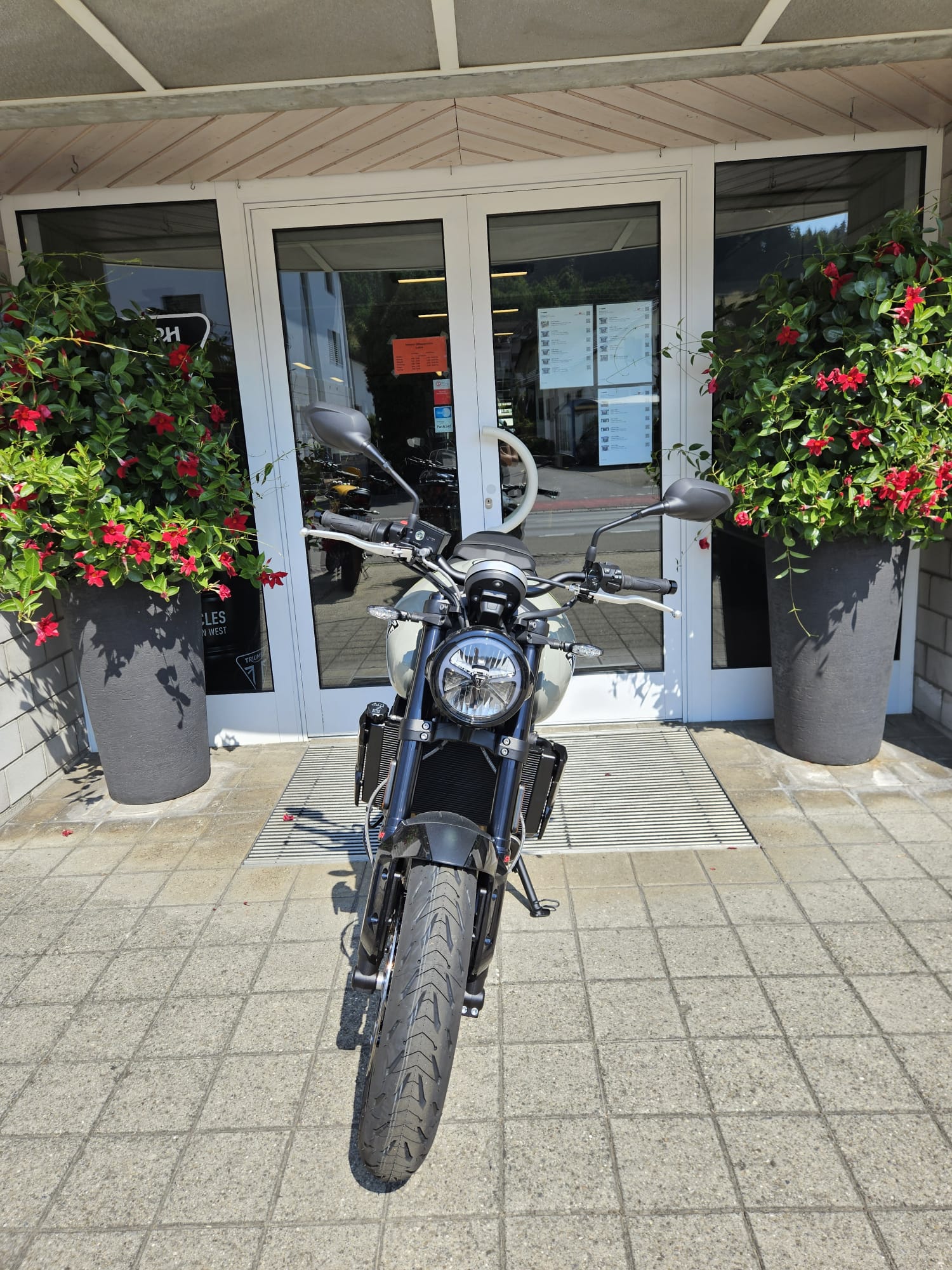 TRIUMPH Trident 660-image-4