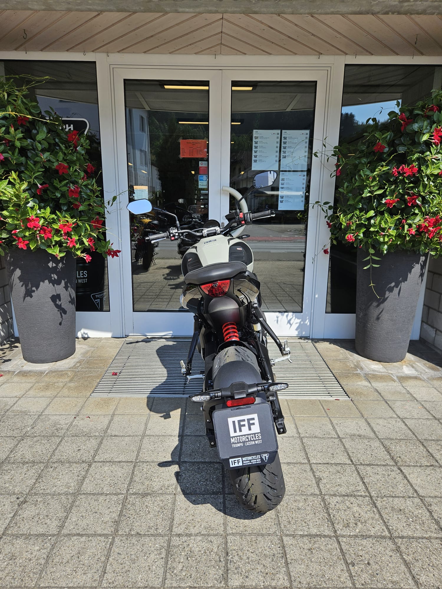 TRIUMPH Trident 660-image-5