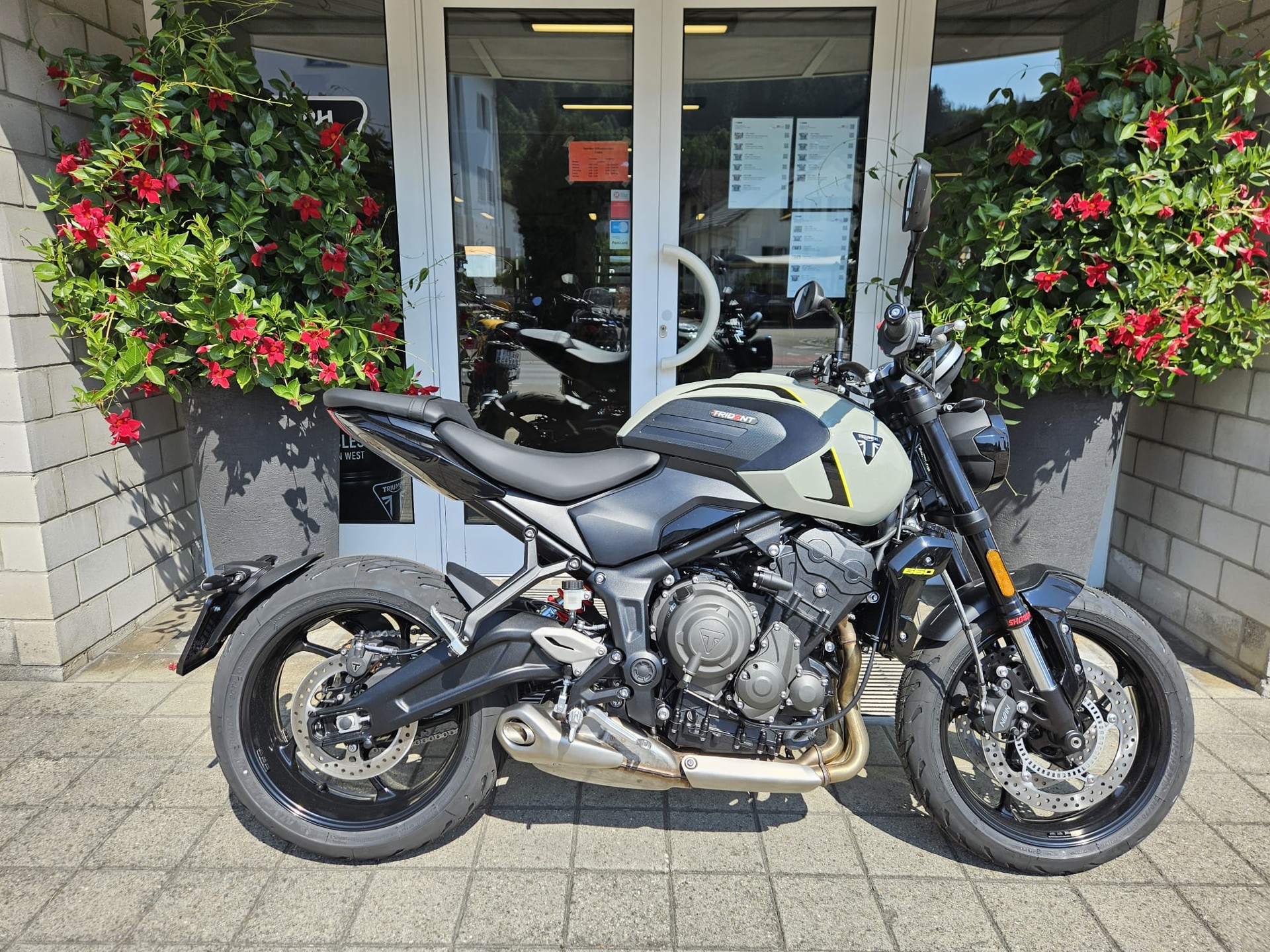 TRIUMPH Trident 660-image-2