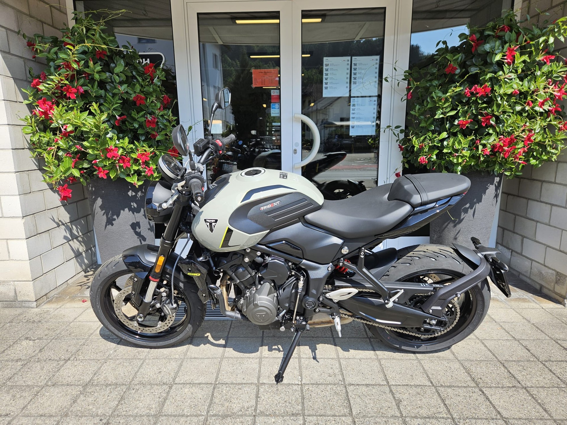 TRIUMPH Trident 660-image-3