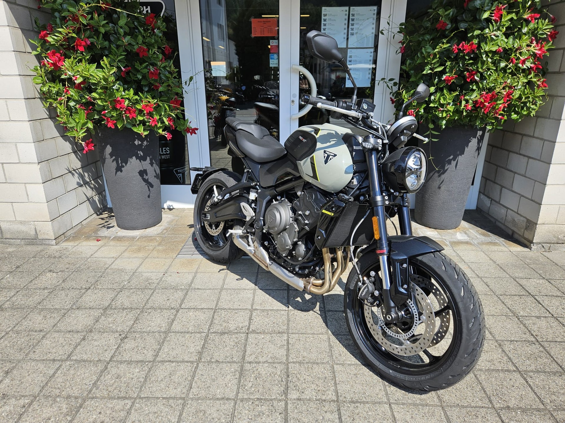 TRIUMPH Trident 660-image-1