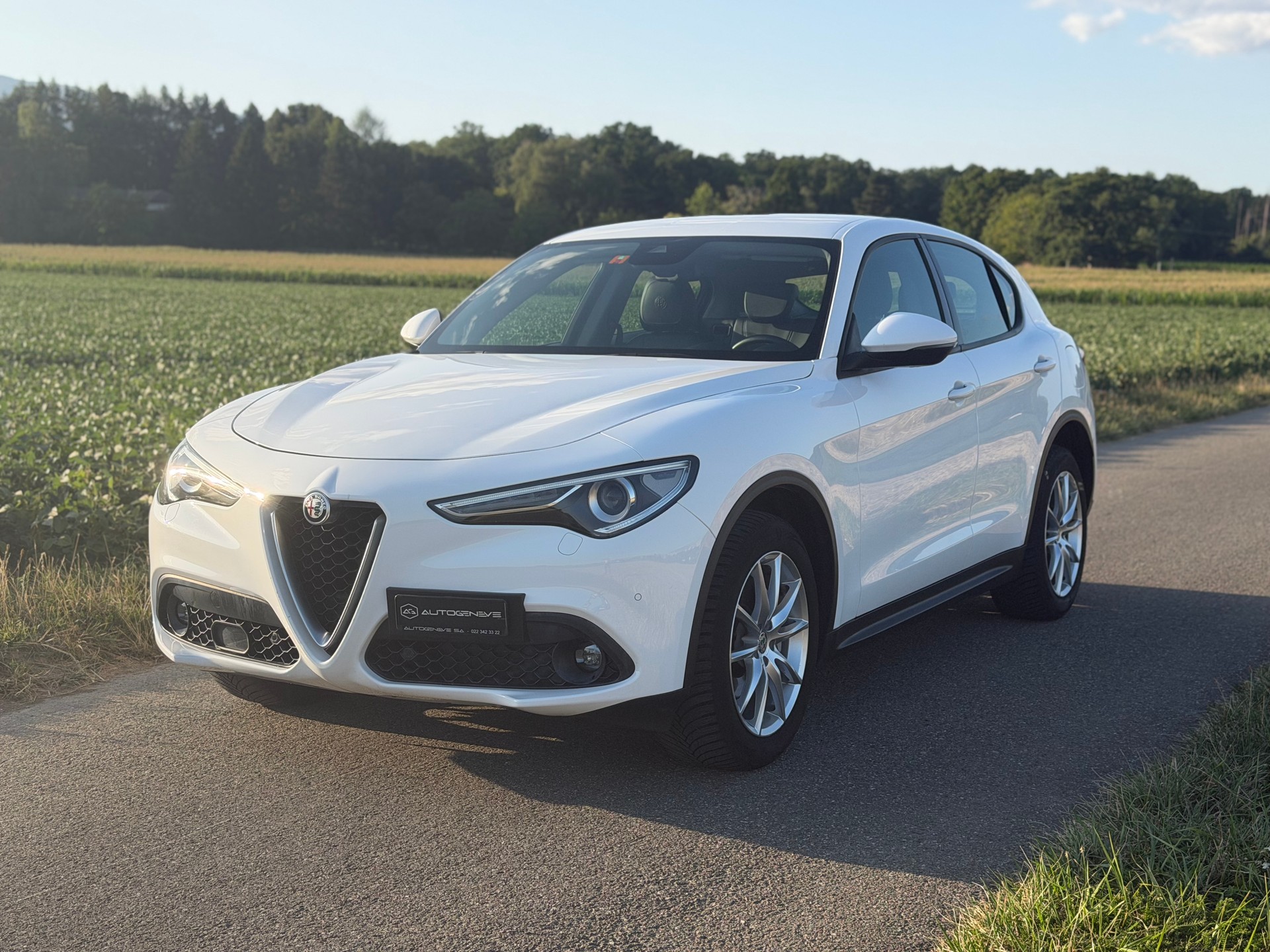 ALFA ROMEO Stelvio 2.2 JTDM Executive Q4 Automatic-image-2