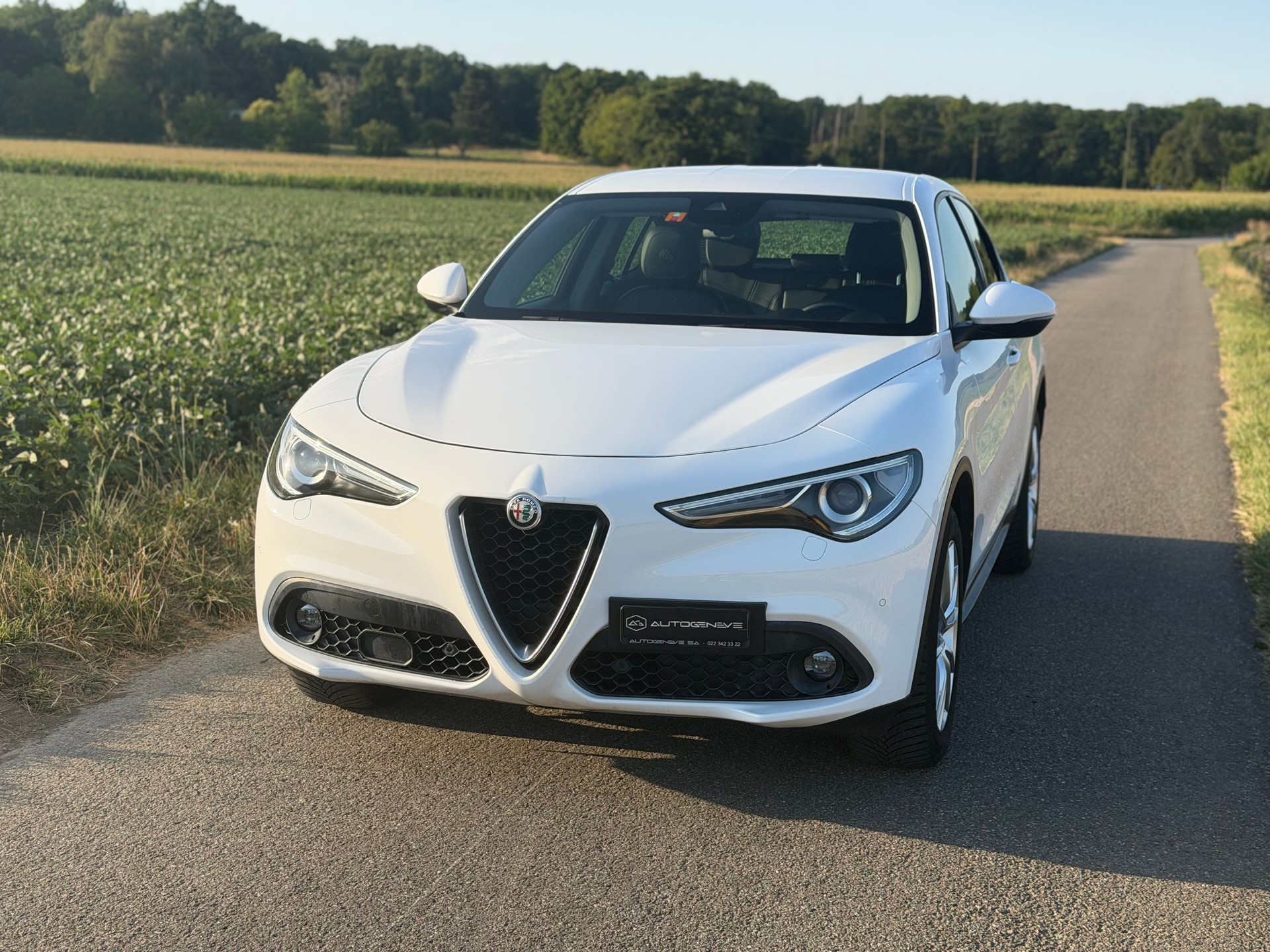 ALFA ROMEO Stelvio 2.2 JTDM Executive Q4 Automatic