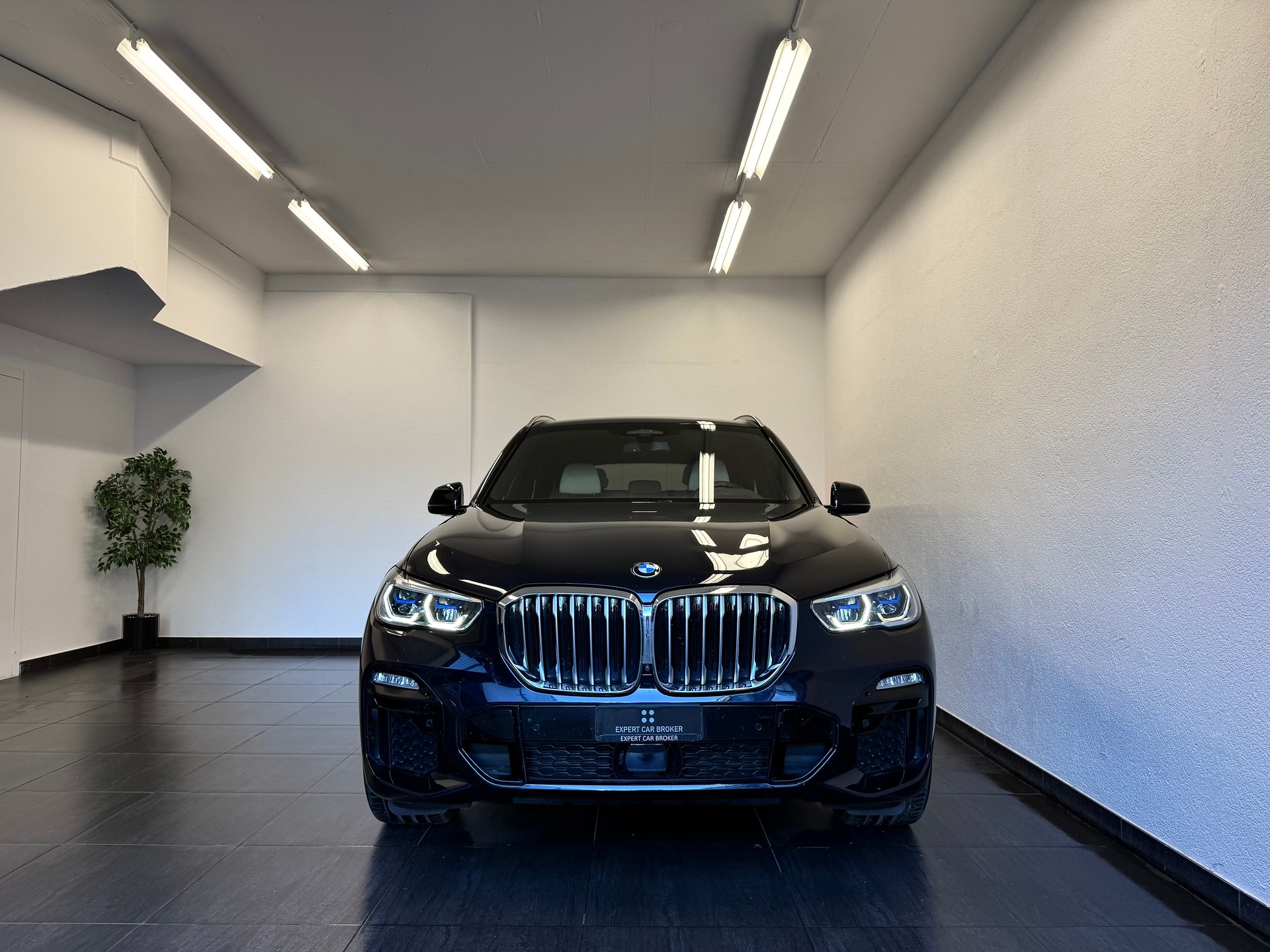 BMW X5 xDrive 40i Steptronic-showroom-element-3