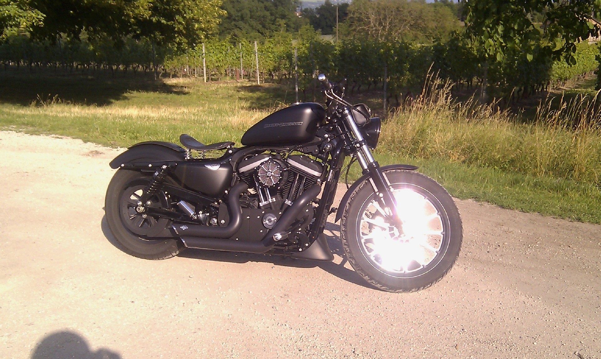 HARLEY-DAVIDSON XL 883 N Sportster Iron-image-1