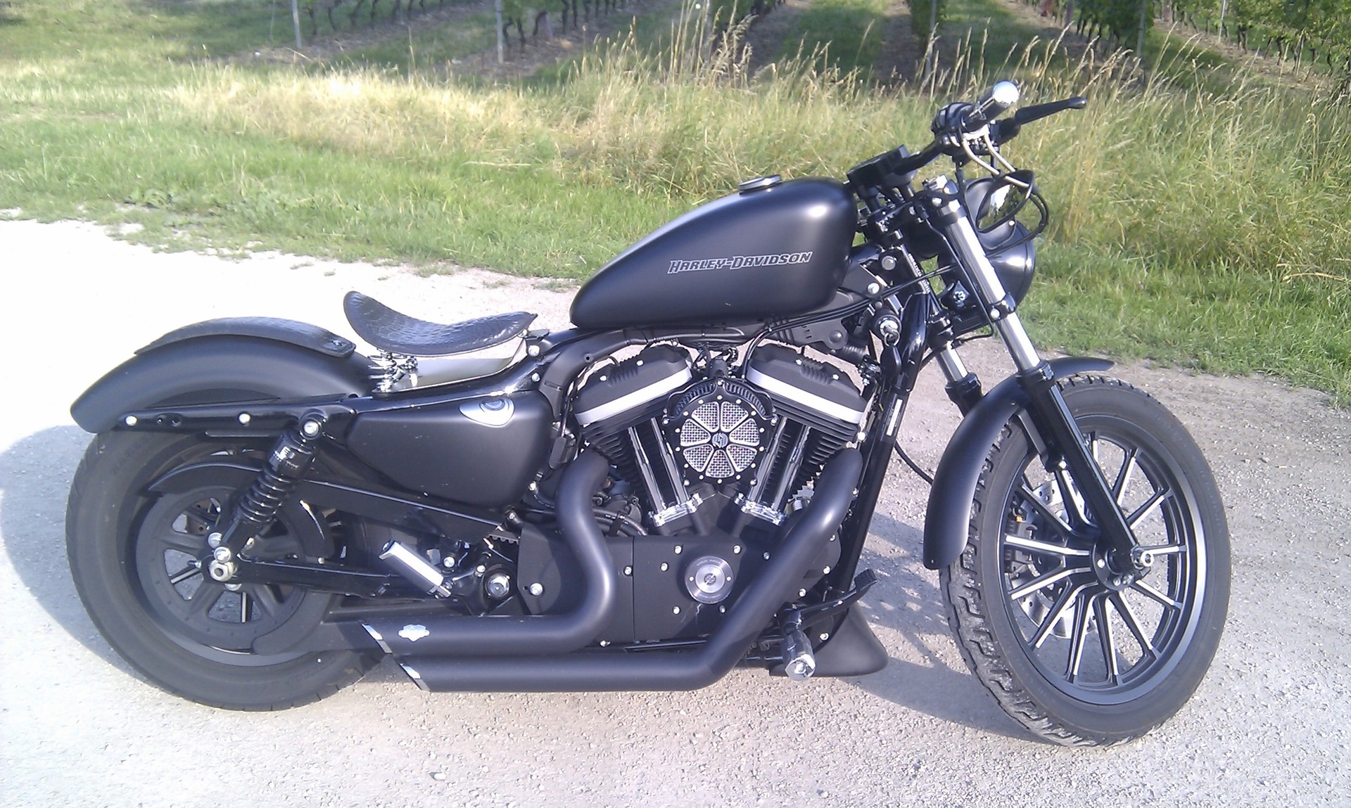 HARLEY-DAVIDSON XL 883 N Sportster Iron-image-0