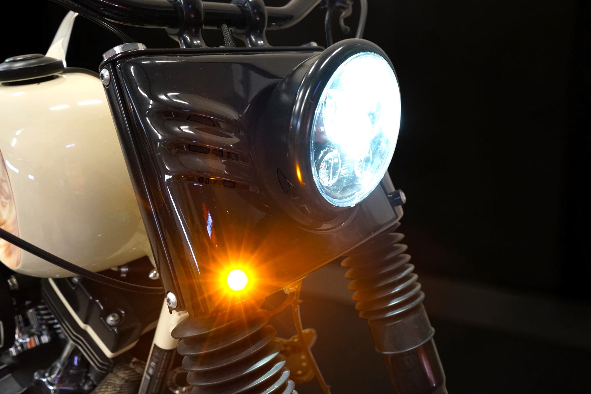 HARLEY-DAVIDSON FLS Softail Slim ABS-image-12