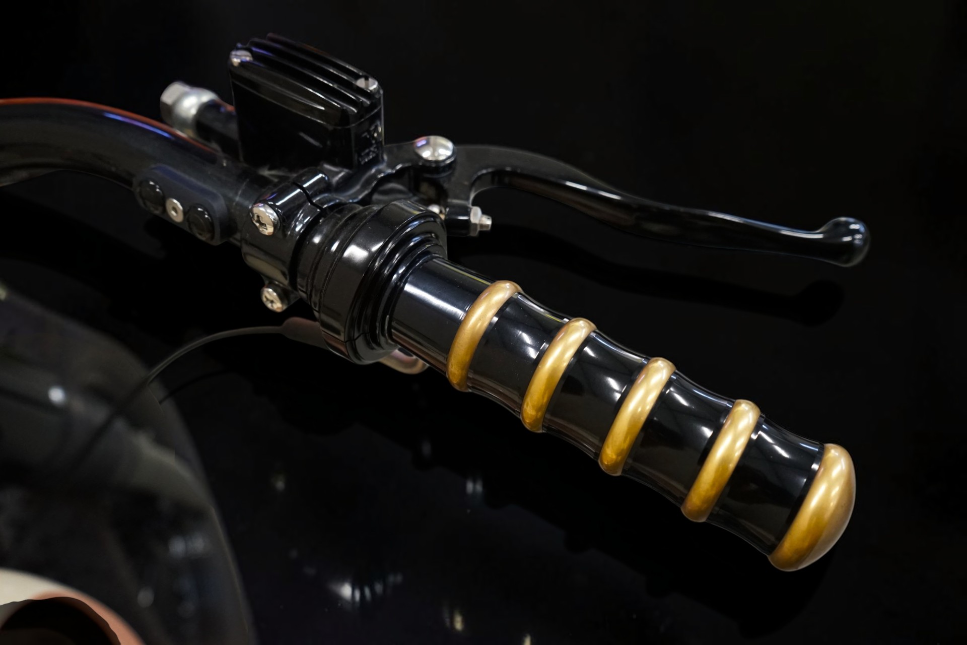 HARLEY-DAVIDSON FLS Softail Slim ABS-image-13