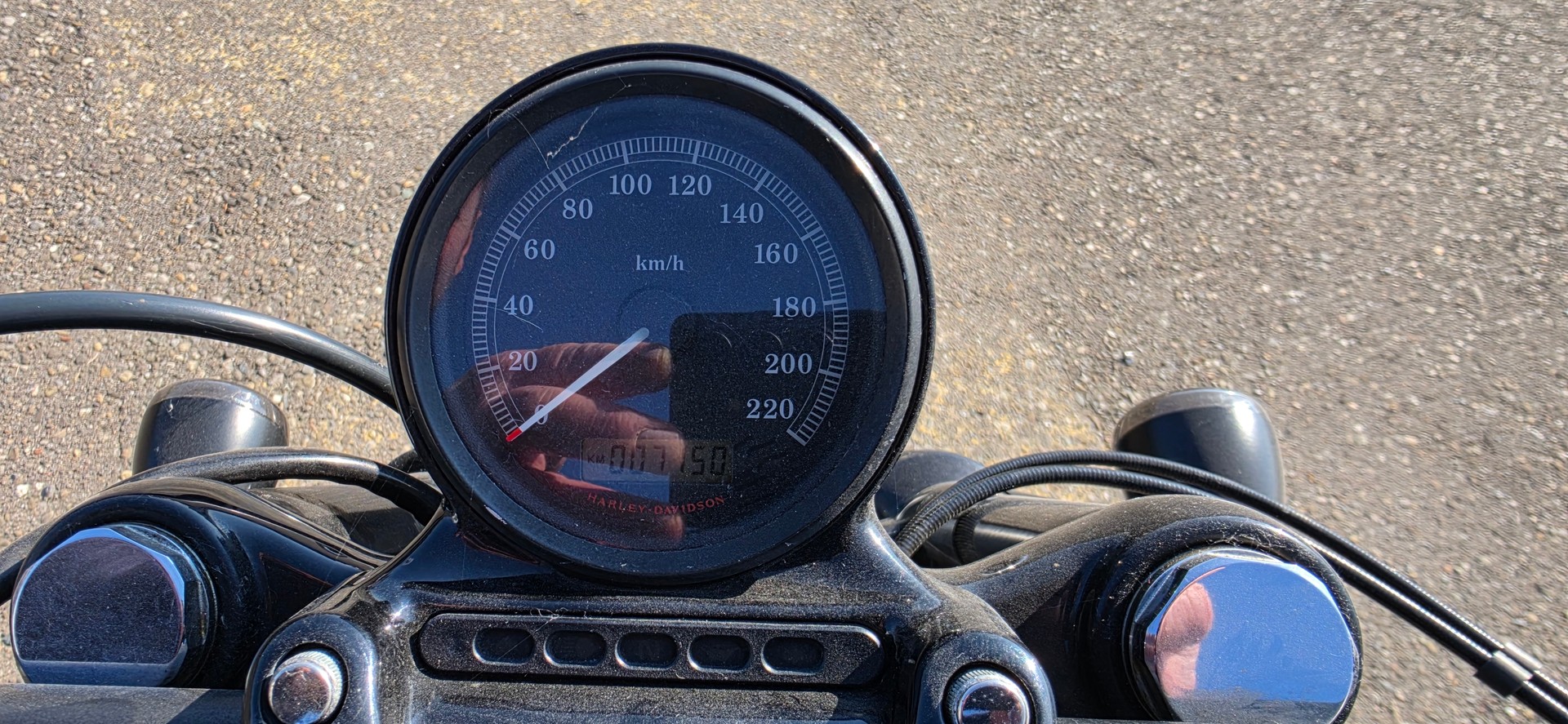 HARLEY-DAVIDSON XL 1200 X Forty Eight-image-6