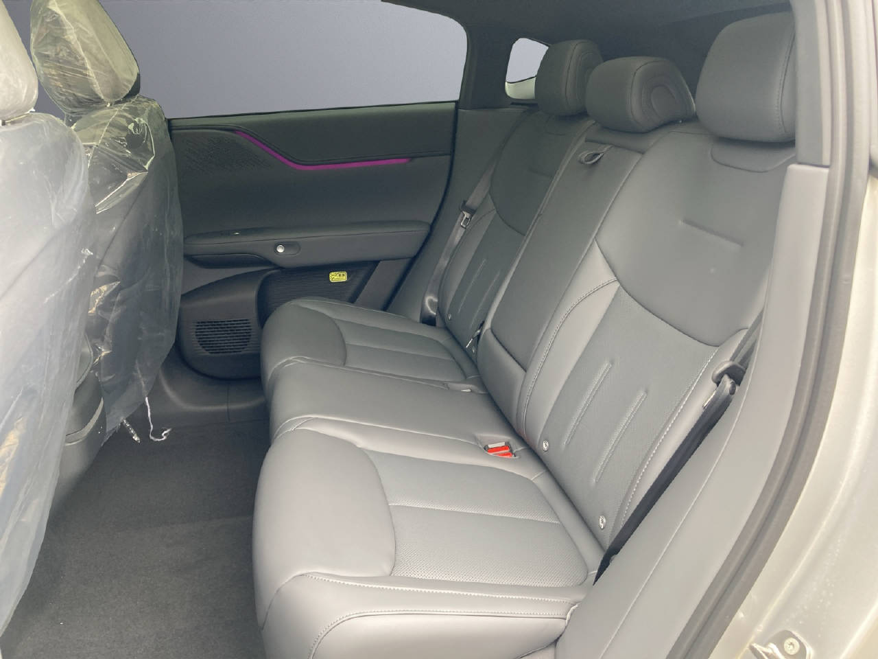 XPENG G6 Performance AWD-image-4