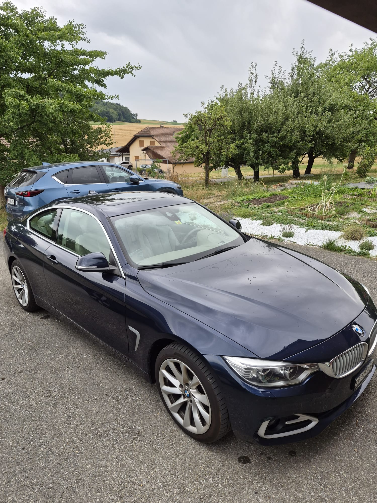 BMW BMW 428i Coupé xDrive Luxury Line