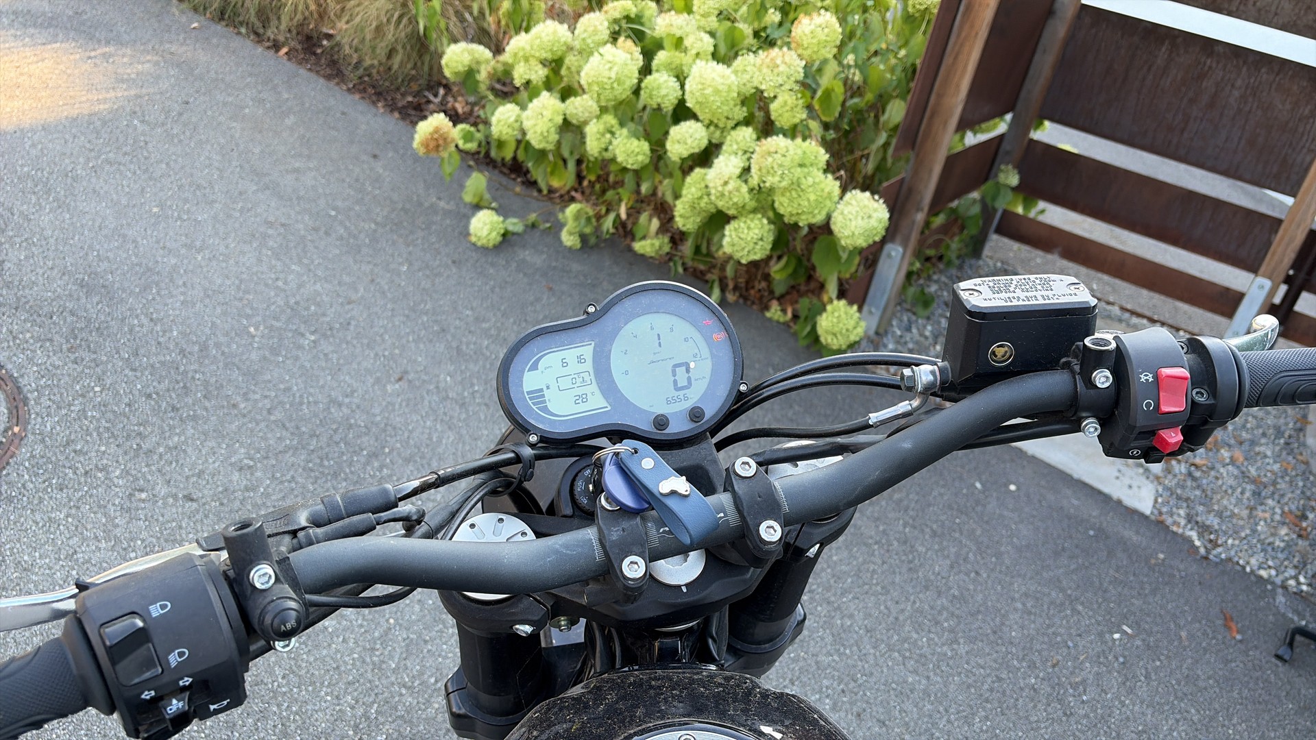 BENELLI Leoncino 500-image-4