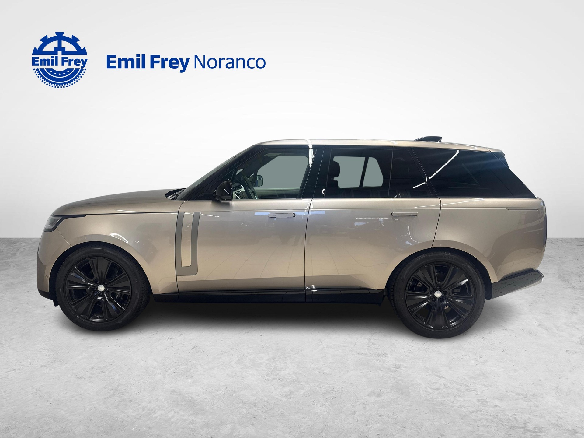 LAND ROVER Range Rover 3.0 D I6 350 HSE - Ruote invernali da 22" incluse-showroom-element-1