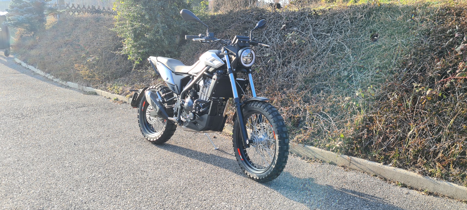 BETA Alp X-image-2
