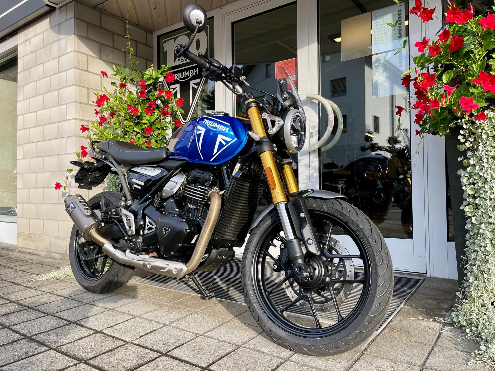 TRIUMPH Speed 400-image-10