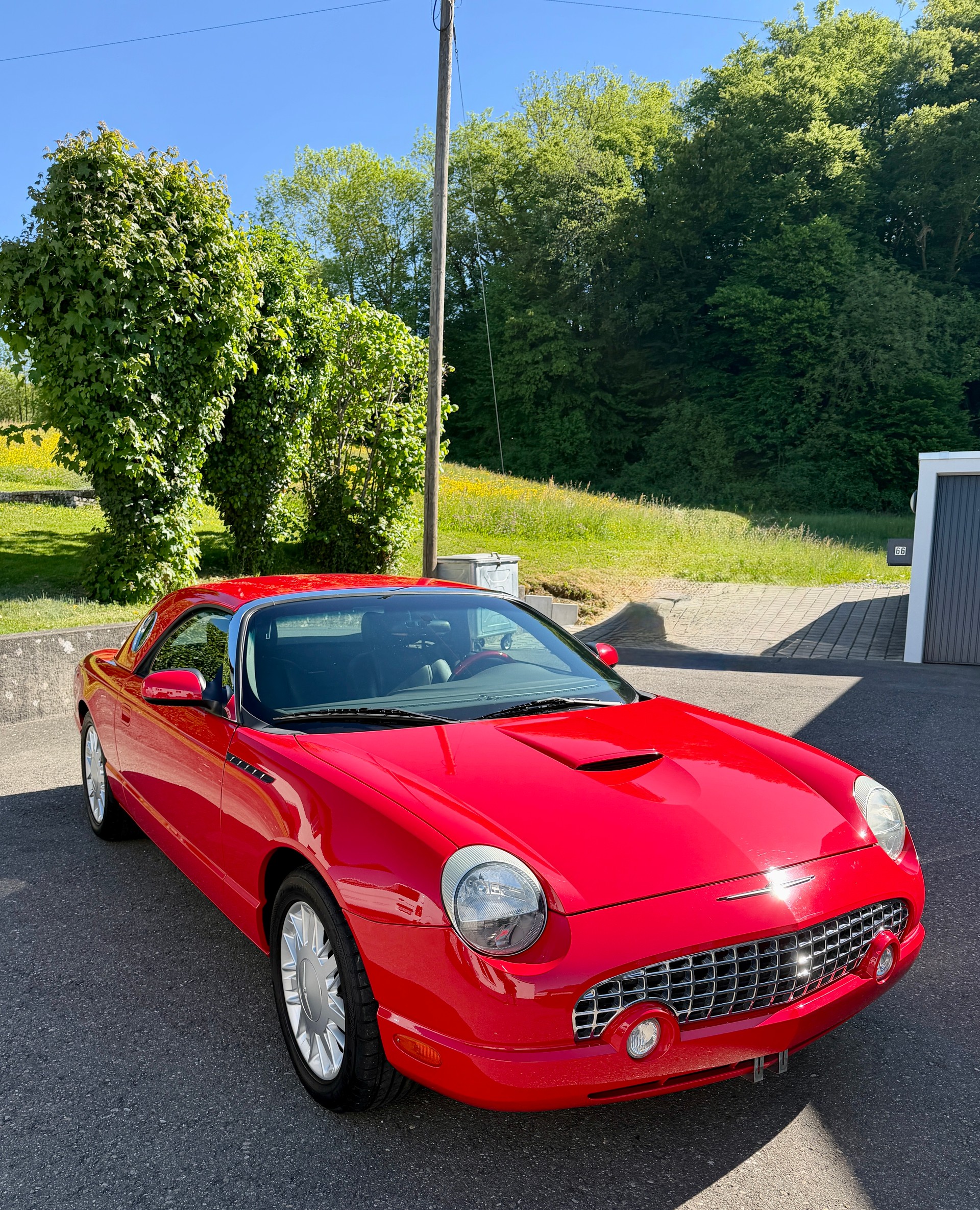 FORD Thunderbird-image-8