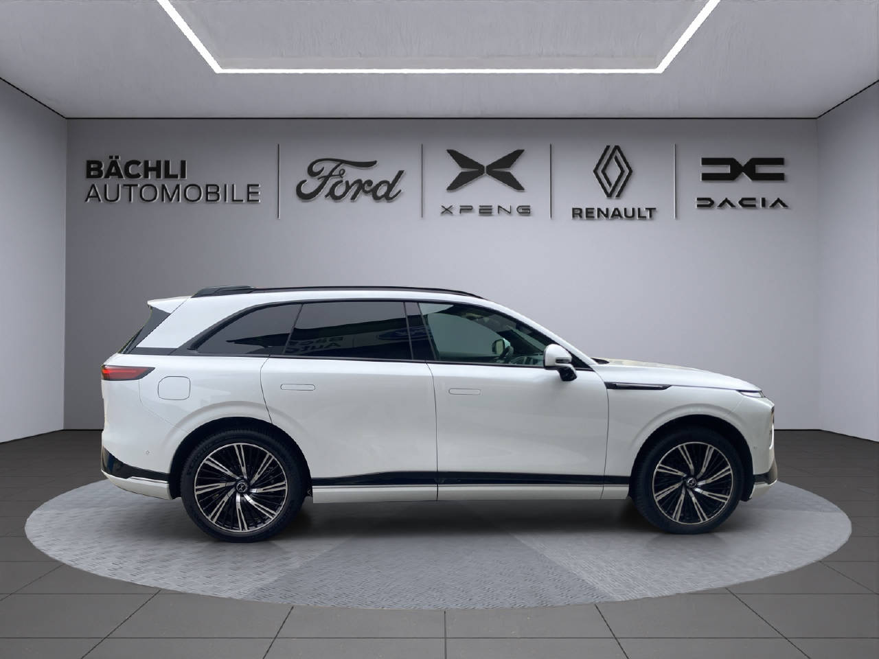 XPENG G9 Performance AWD-image-10
