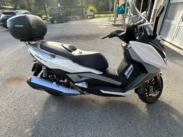 ARIIC Chinf 318