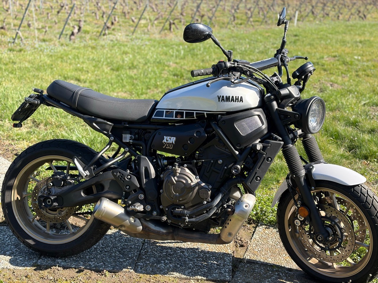 YAMAHA XSR 700 Legacy-image-5