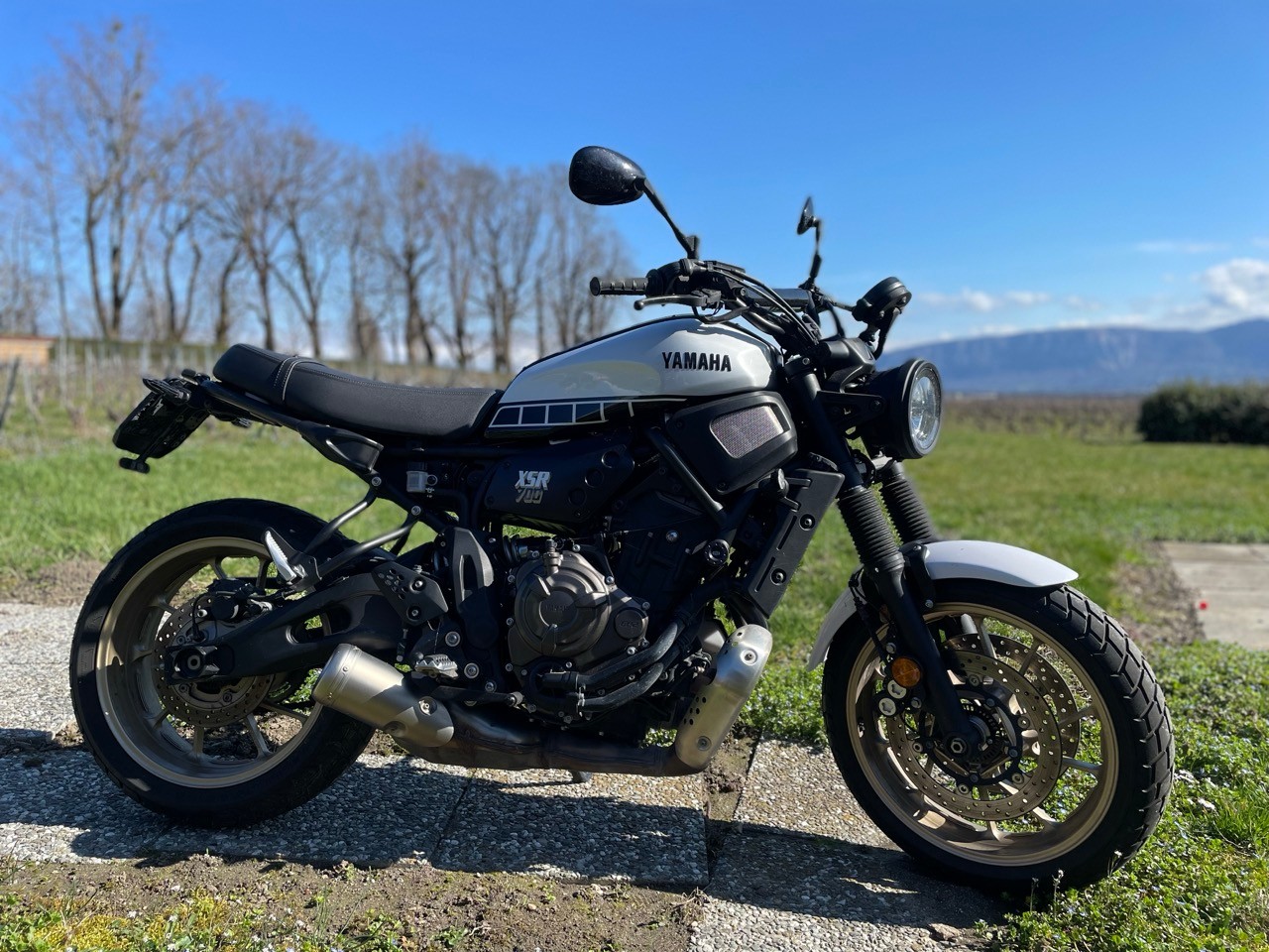 YAMAHA XSR 700 Legacy-image-0