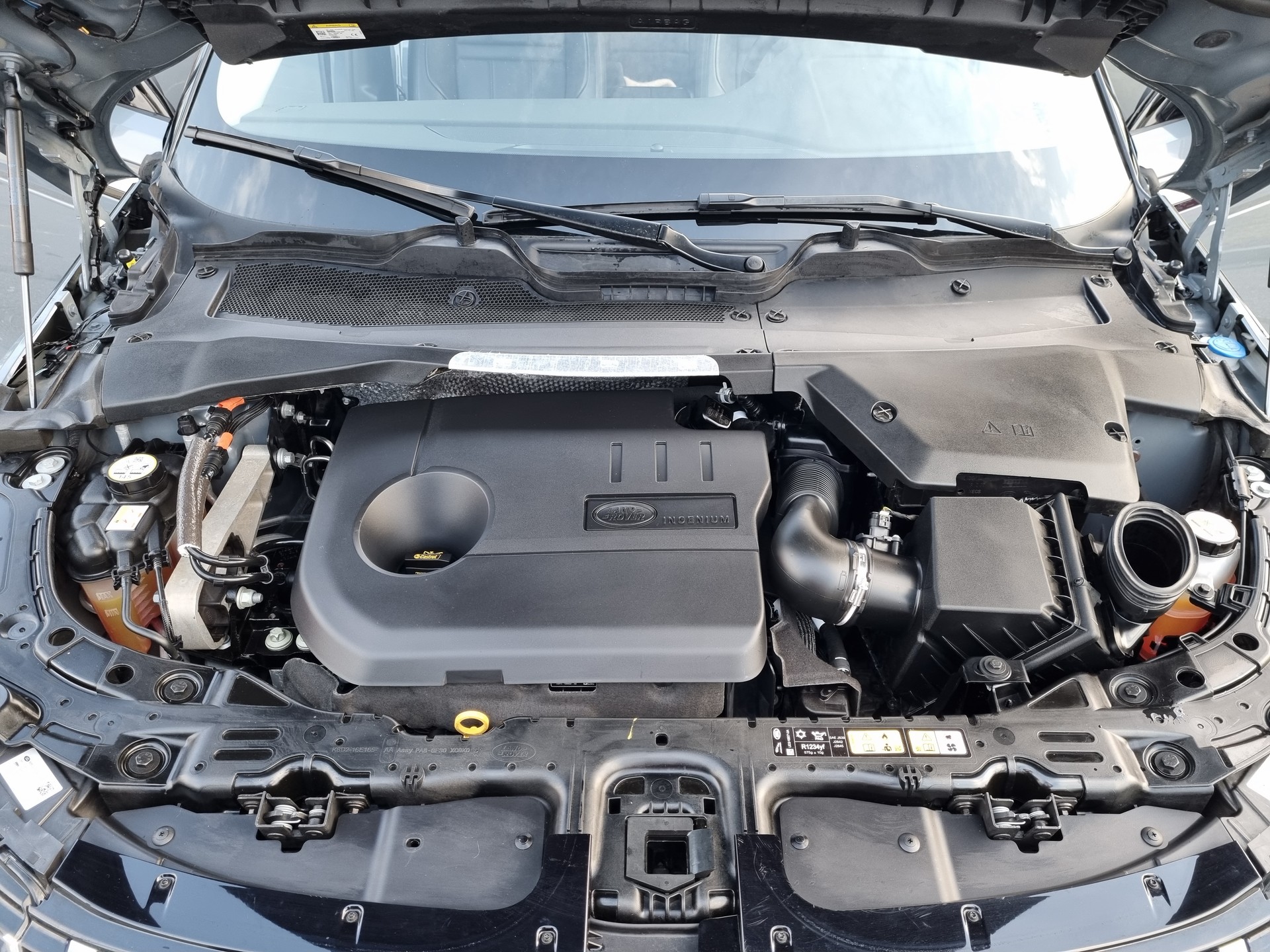 LAND ROVER Range Rover Evoque P 300e SE AT8-image-13