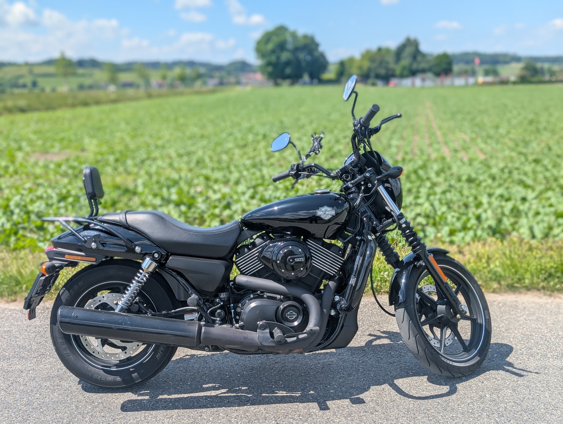 HARLEY-DAVIDSON XG 750 Street-image-4