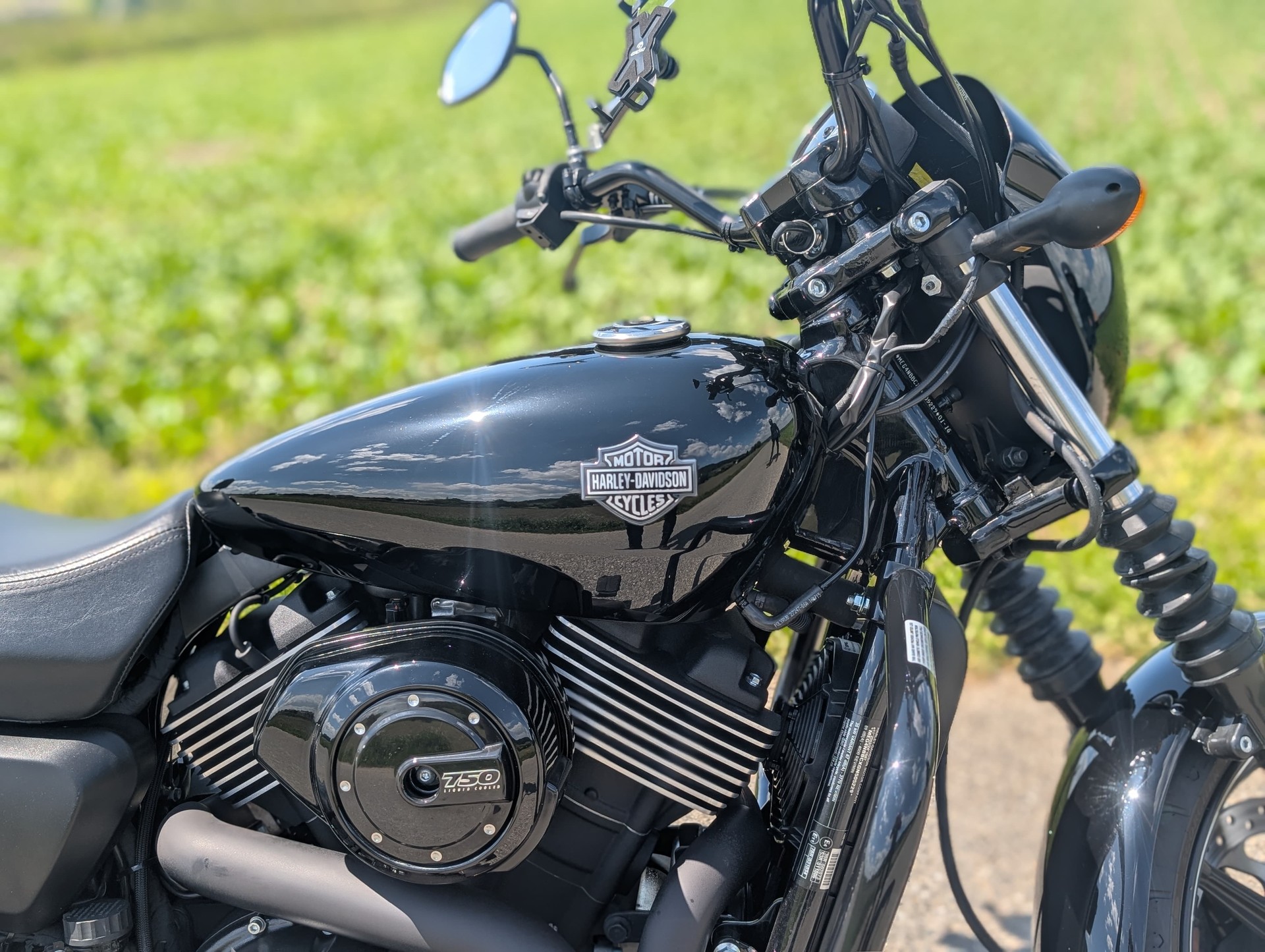 HARLEY-DAVIDSON XG 750 Street-image-1