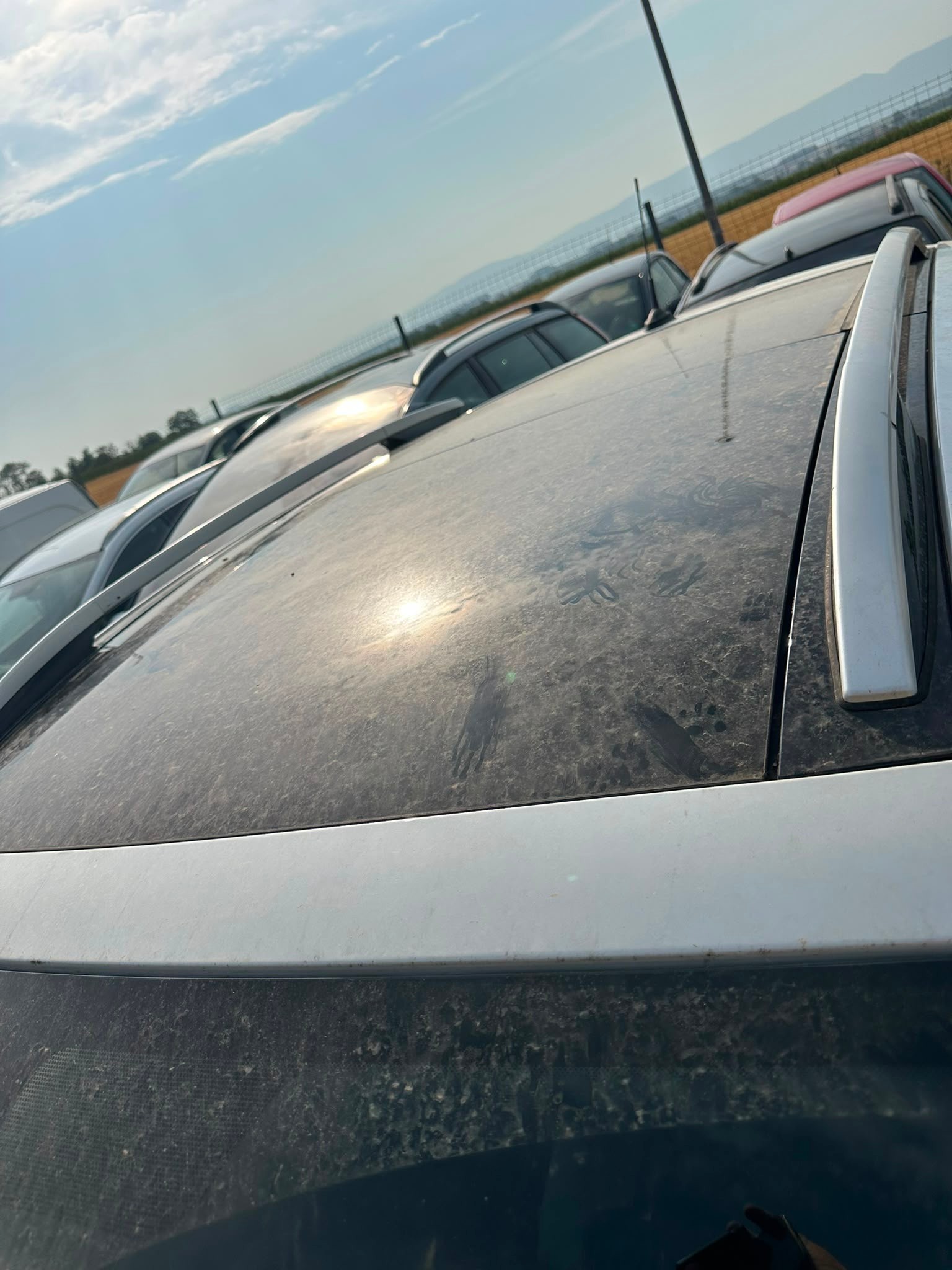 RENAULT Scénic Xmod 1.5 dCi Bose Edition EDC-image-8