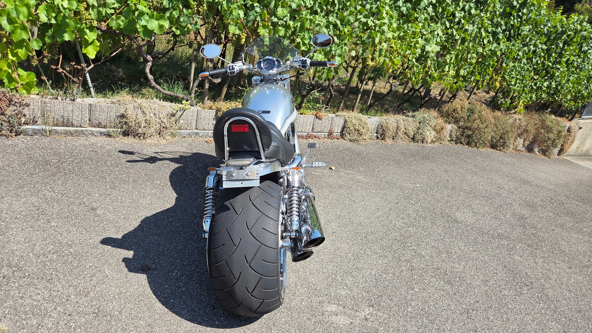 HARLEY-DAVIDSON VRSCA VROD-image-6