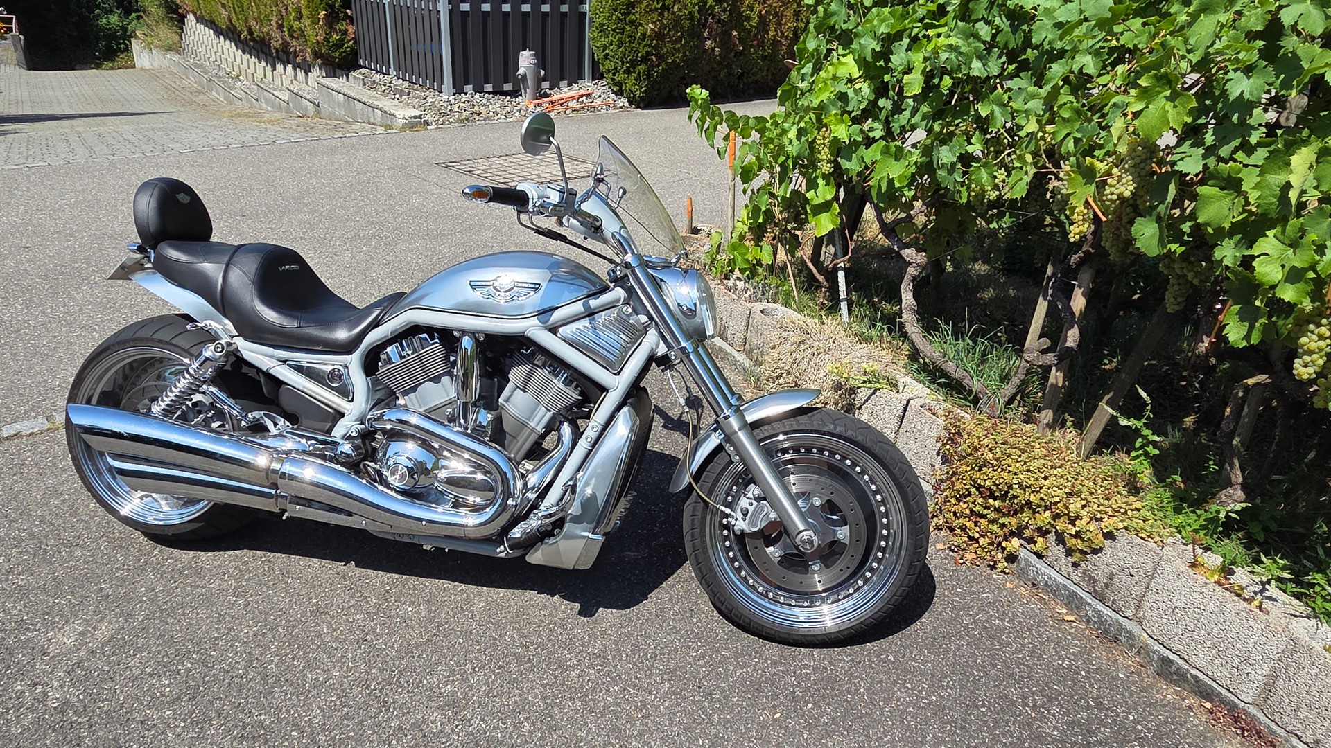 HARLEY-DAVIDSON VRSCA VROD-image-3