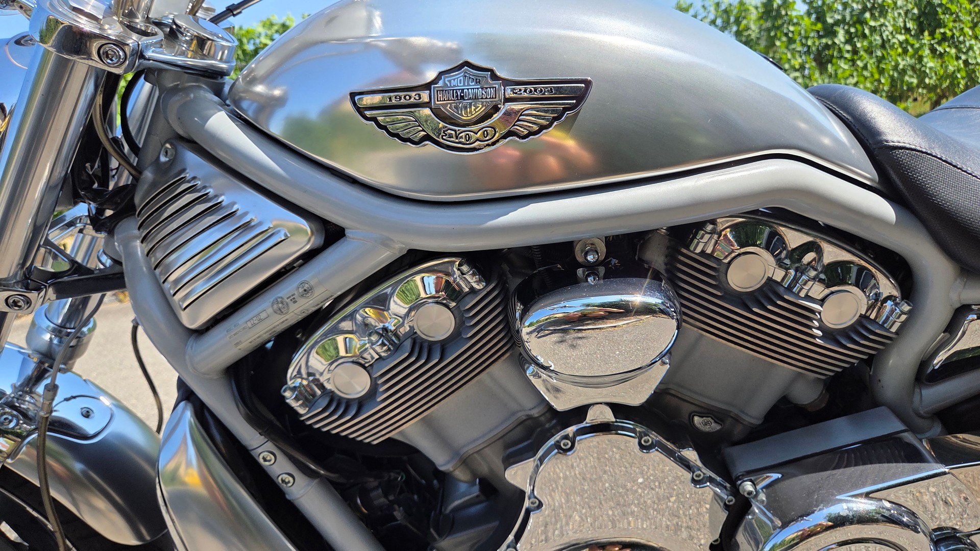 HARLEY-DAVIDSON VRSCA VROD-image-12